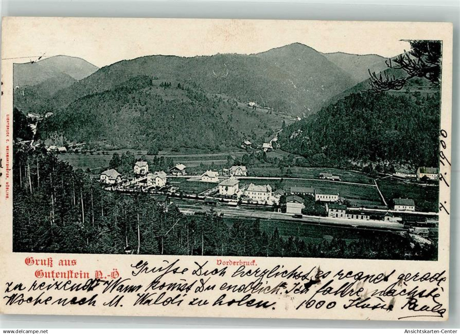 10718497 - Gutenstein