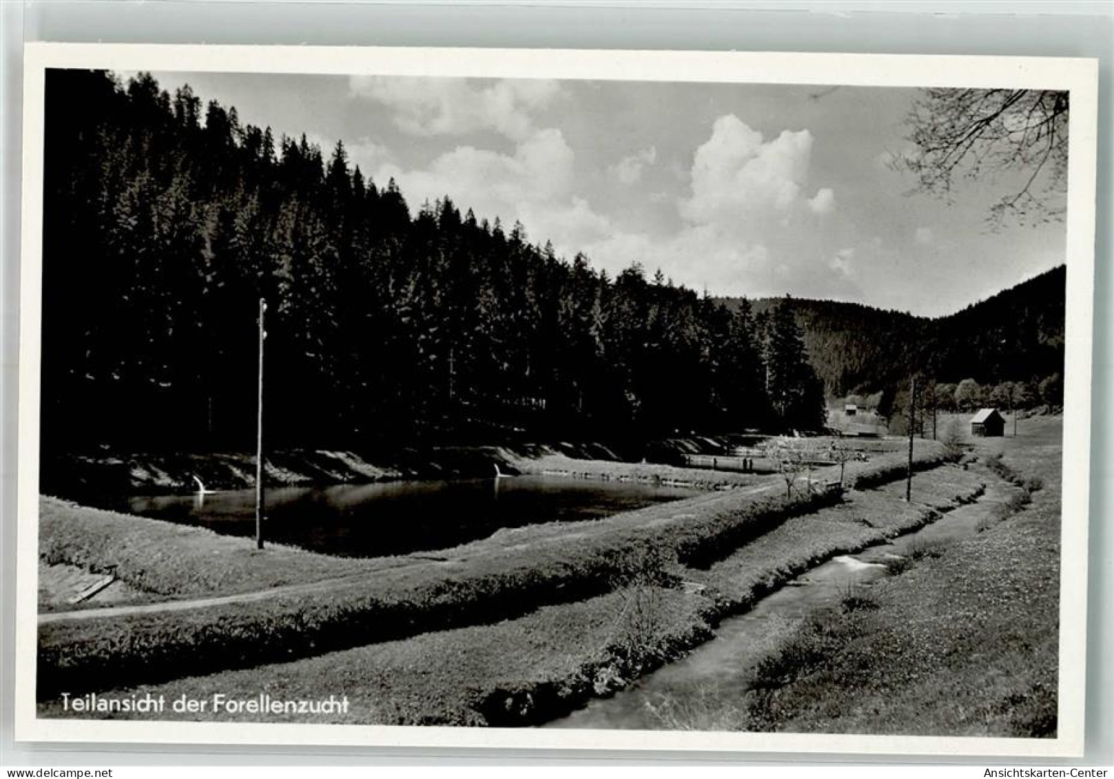 10722100 - Altensteig , Wuertt