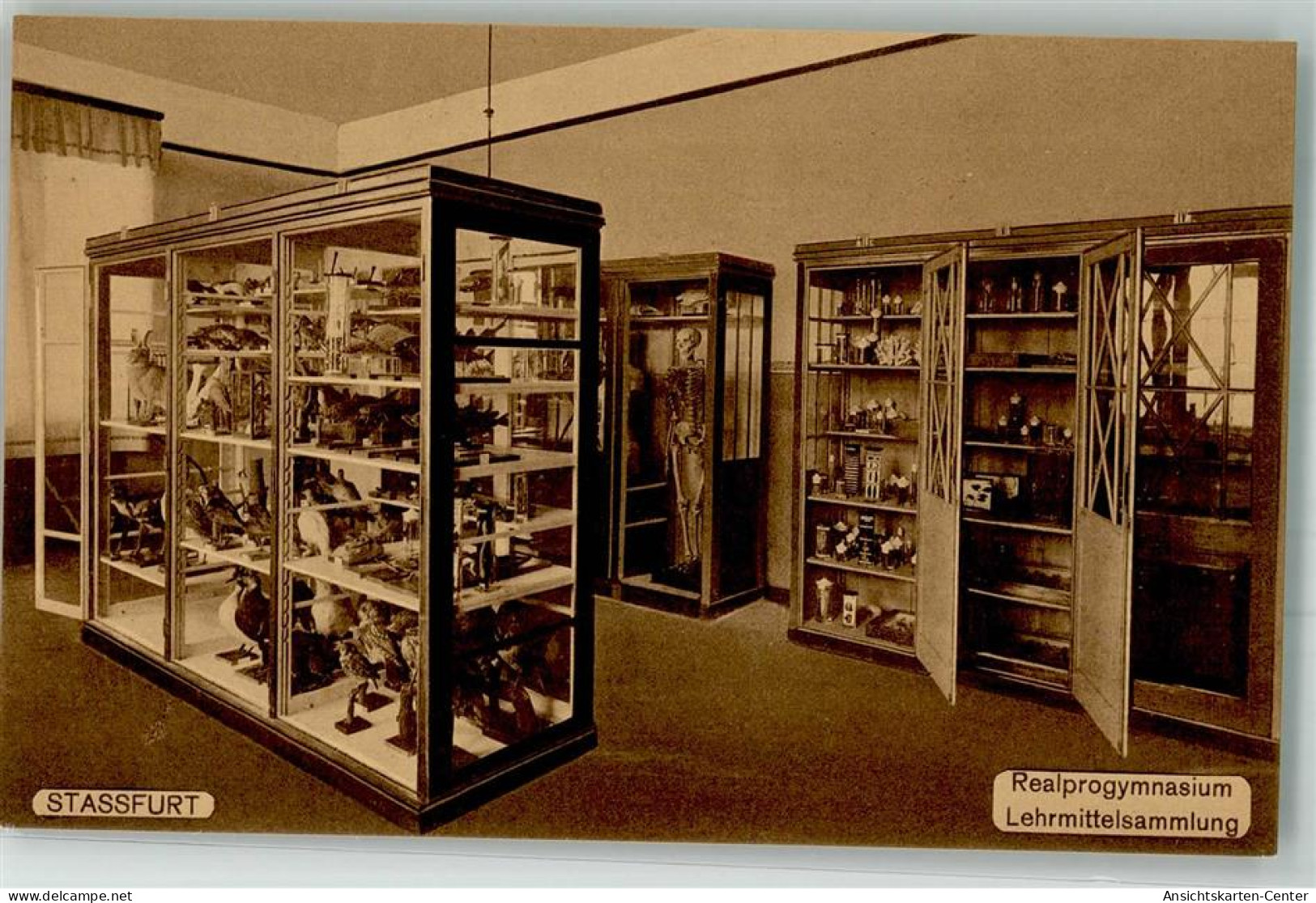 10725645 - Stassfurt