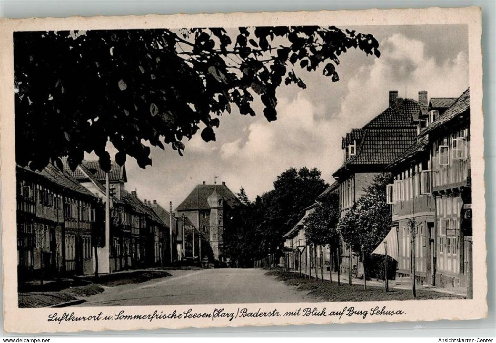 10736250 - Seesen , Harz