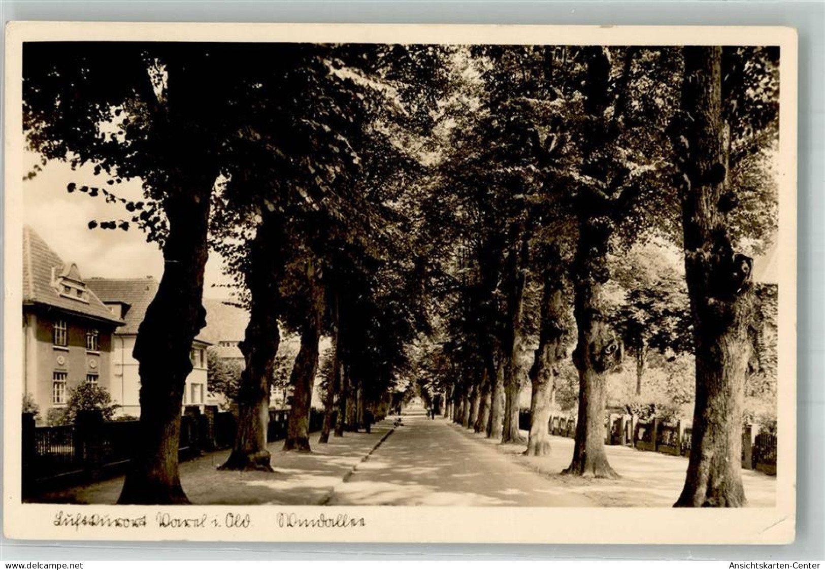 10736969 - Varel , Jadebusen