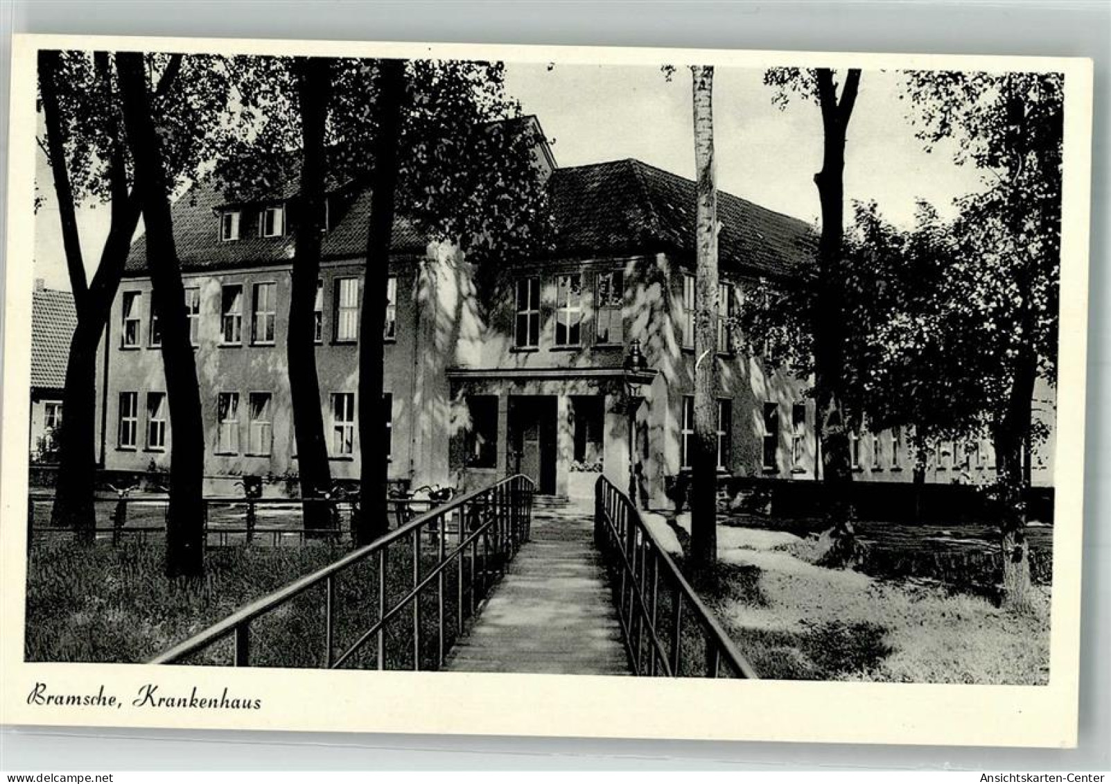 10737475 - Bramsche , Hase