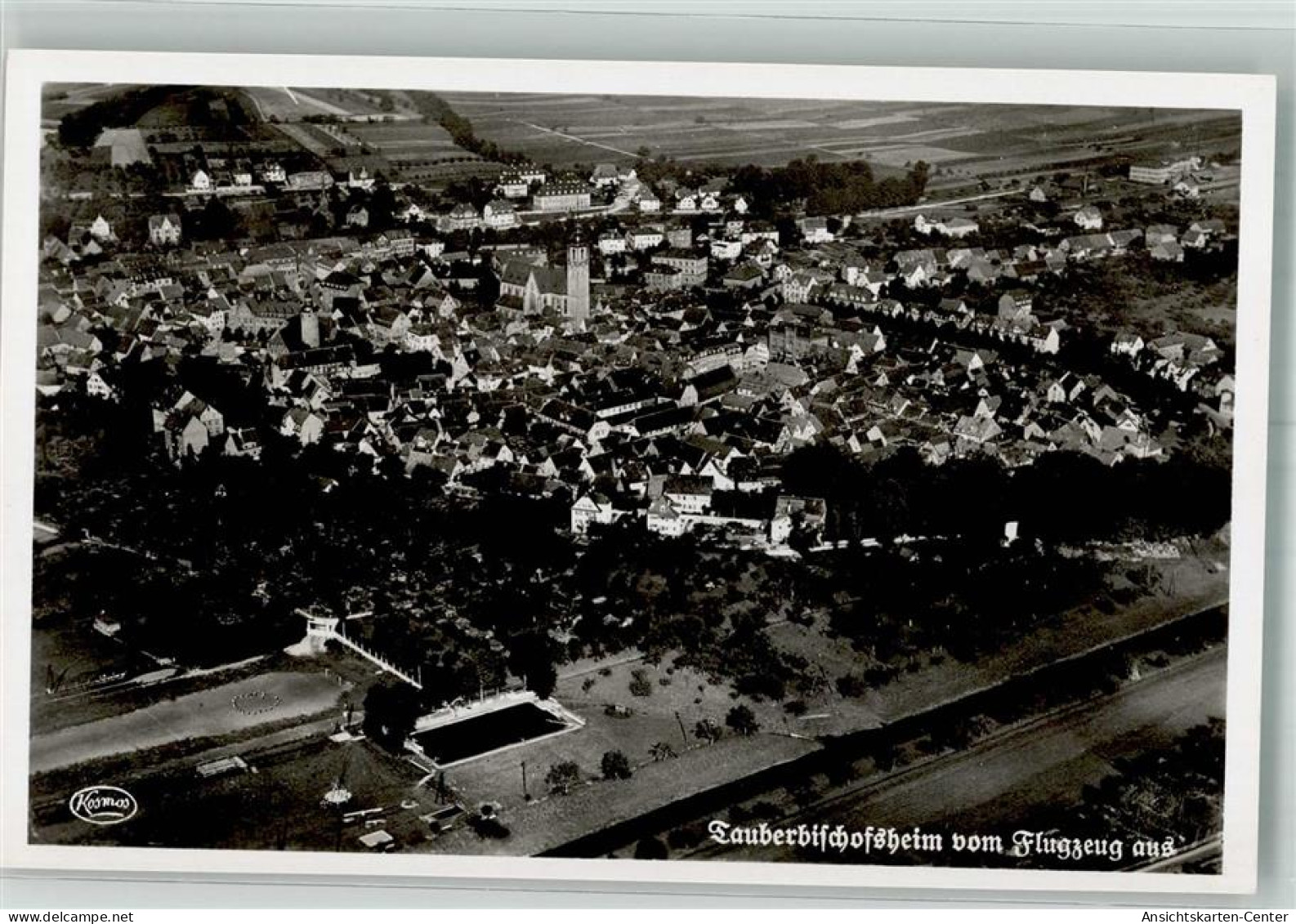 10746509 - Tauberbischofsheim