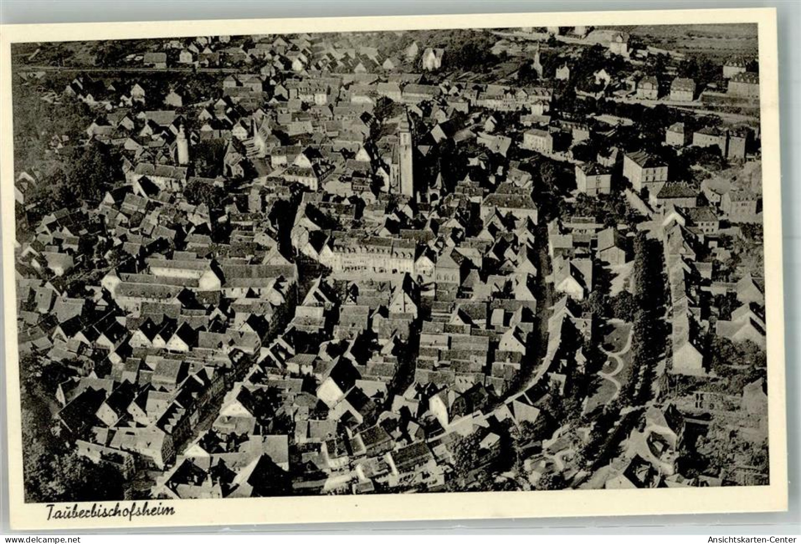 10746685 - Tauberbischofsheim