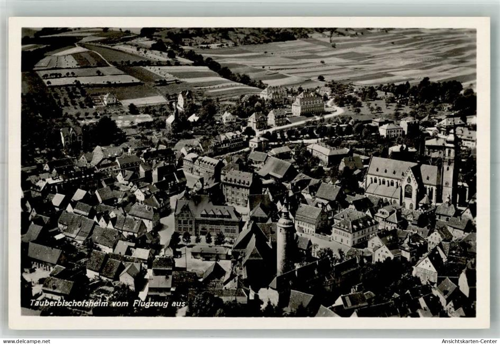 10748336 - Tauberbischofsheim