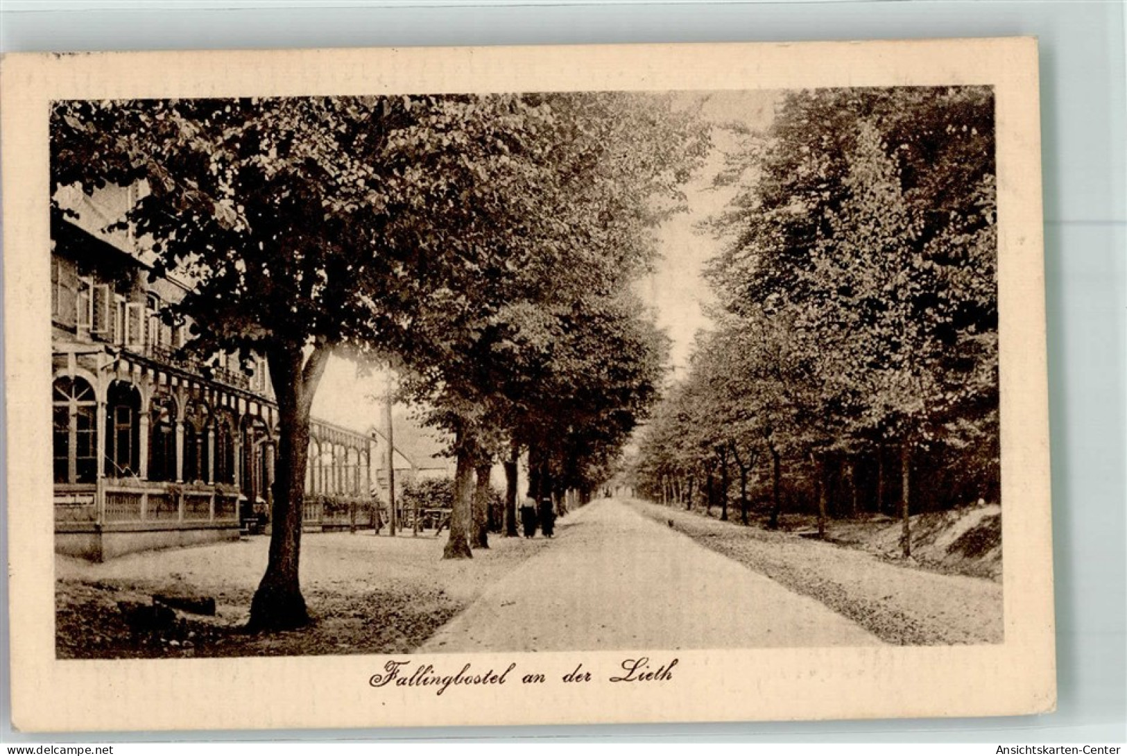 10755527 - Fallingbostel