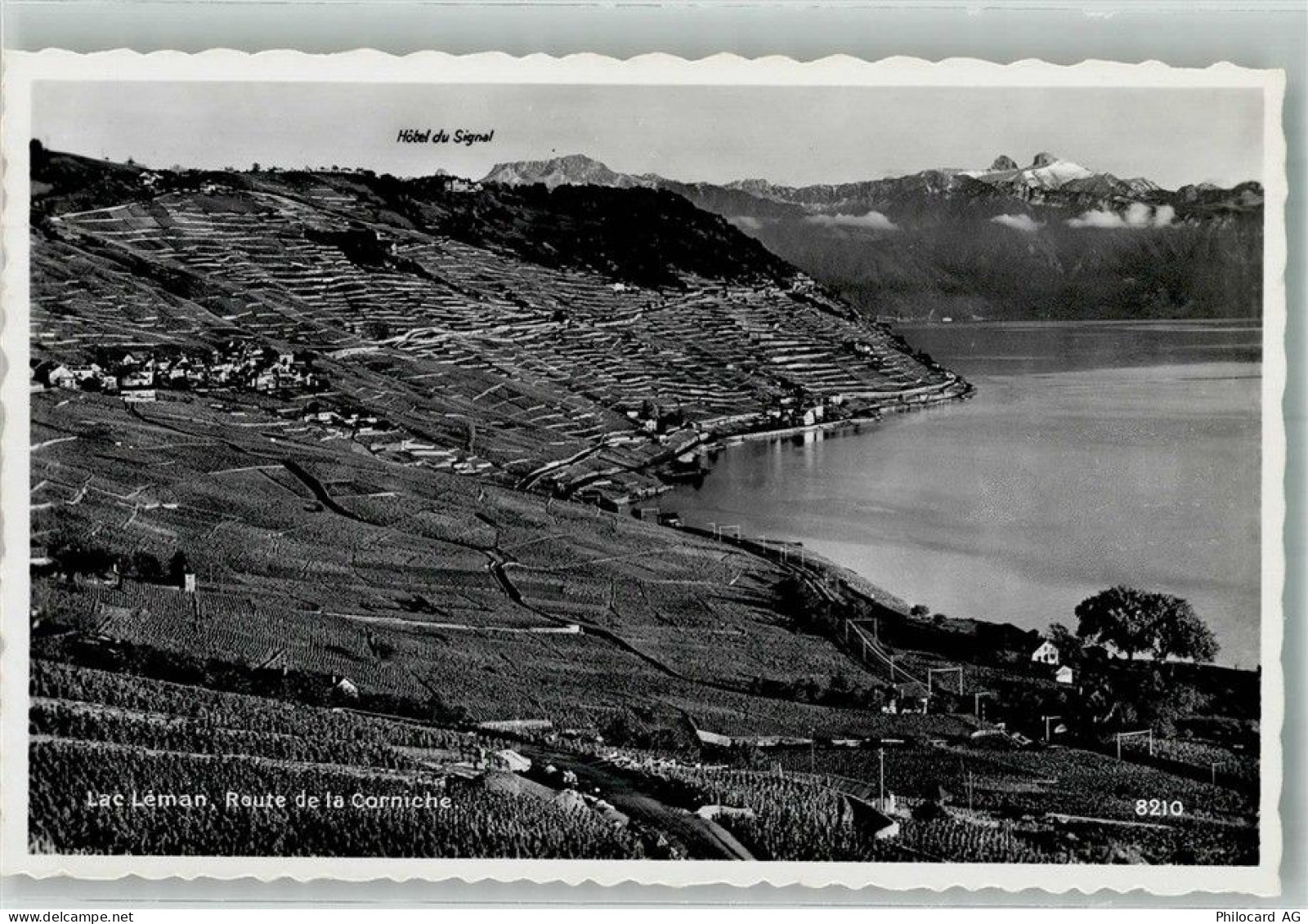 1091 Grandvaux Le Tronchet Foto AK Lac Léman Weinterrassen von Lavaux - 38219394