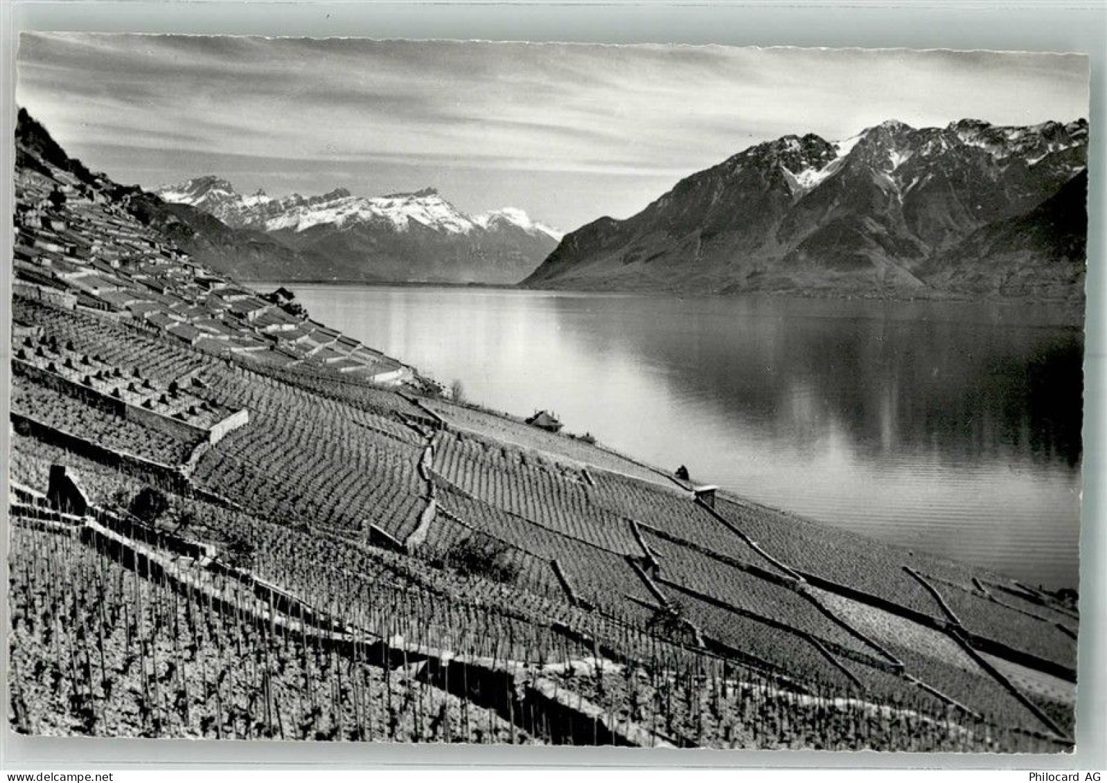 1091 Grandvaux Le Tronchet Foto AK Le Cotau de Lavaux Wein - 38219395