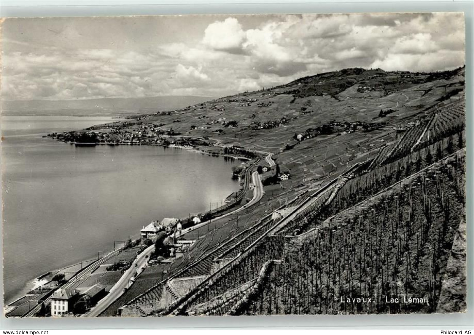 1096 Cully Foto AK Bahnhof Wein Ort lt. Stempel - 39499439