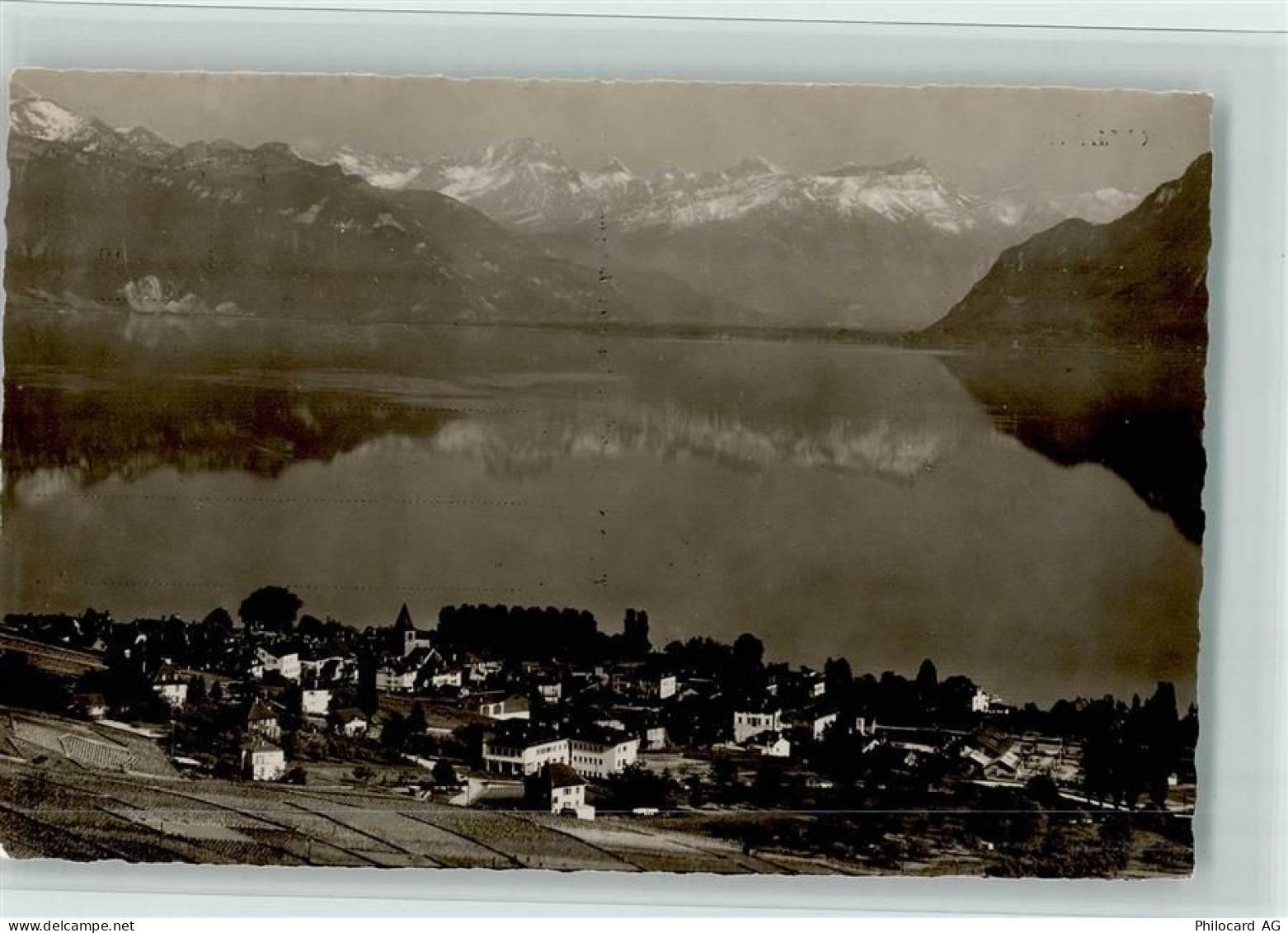 1096 Cully Treytorrens (Lavaux) - Les Alpes - 11061671