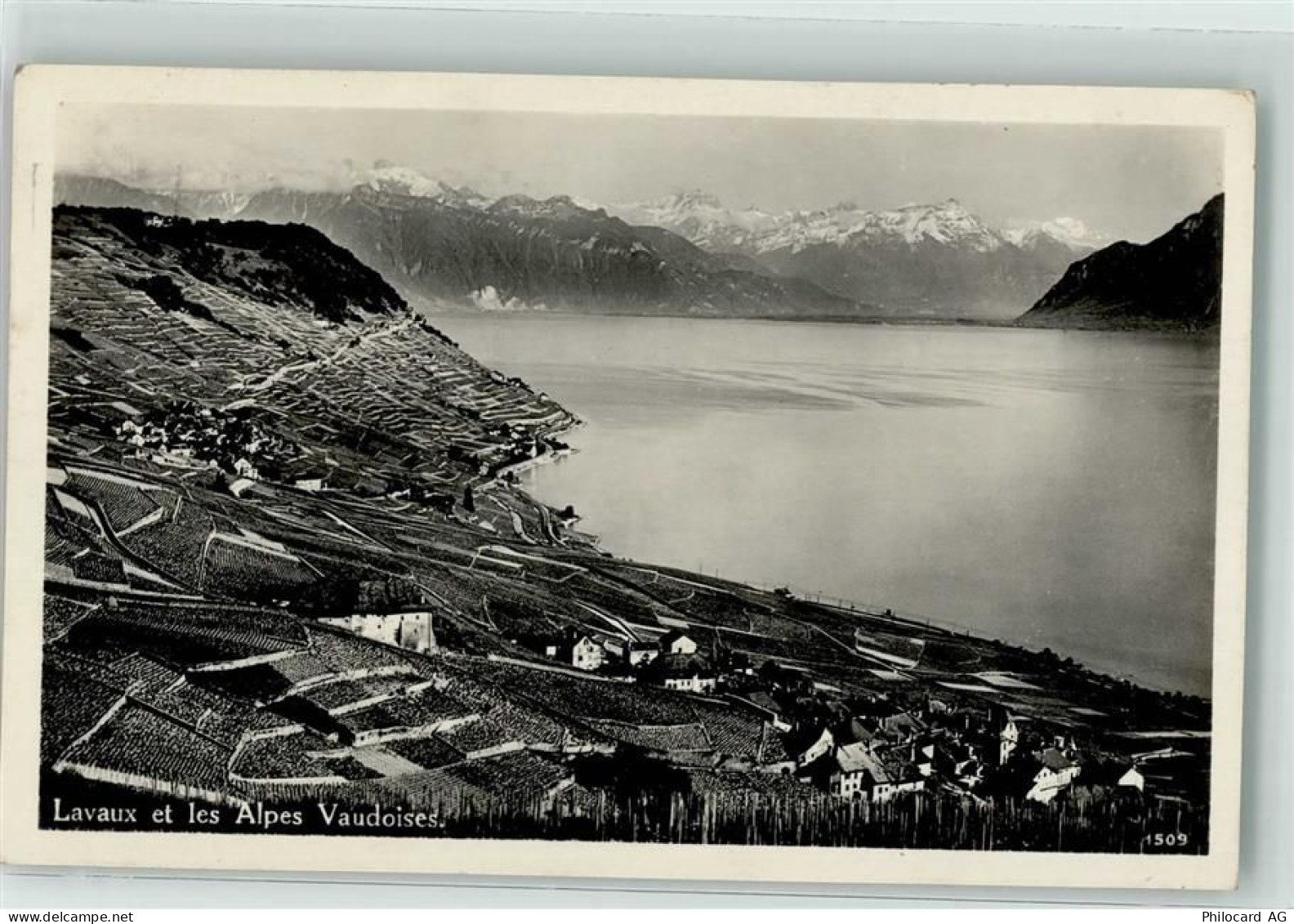 1096 Villette Lavaux - 39404008