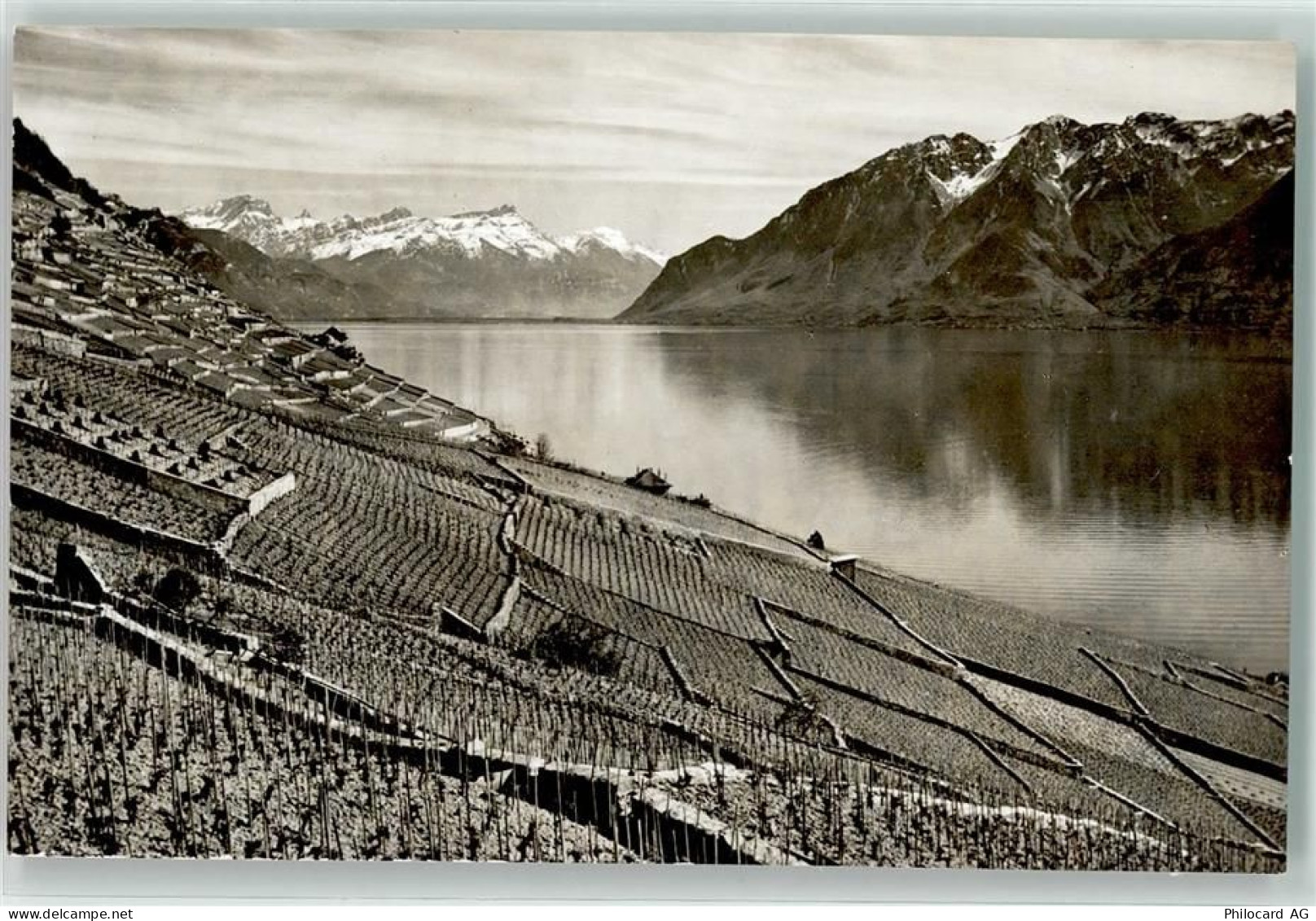 1096 Villette Lavaux - Le Coteau de Lavaux Wein - 39495860