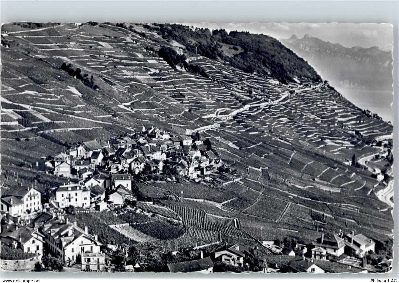 1098 Epesses 1962 - Fliegeraufnahme - 51422134