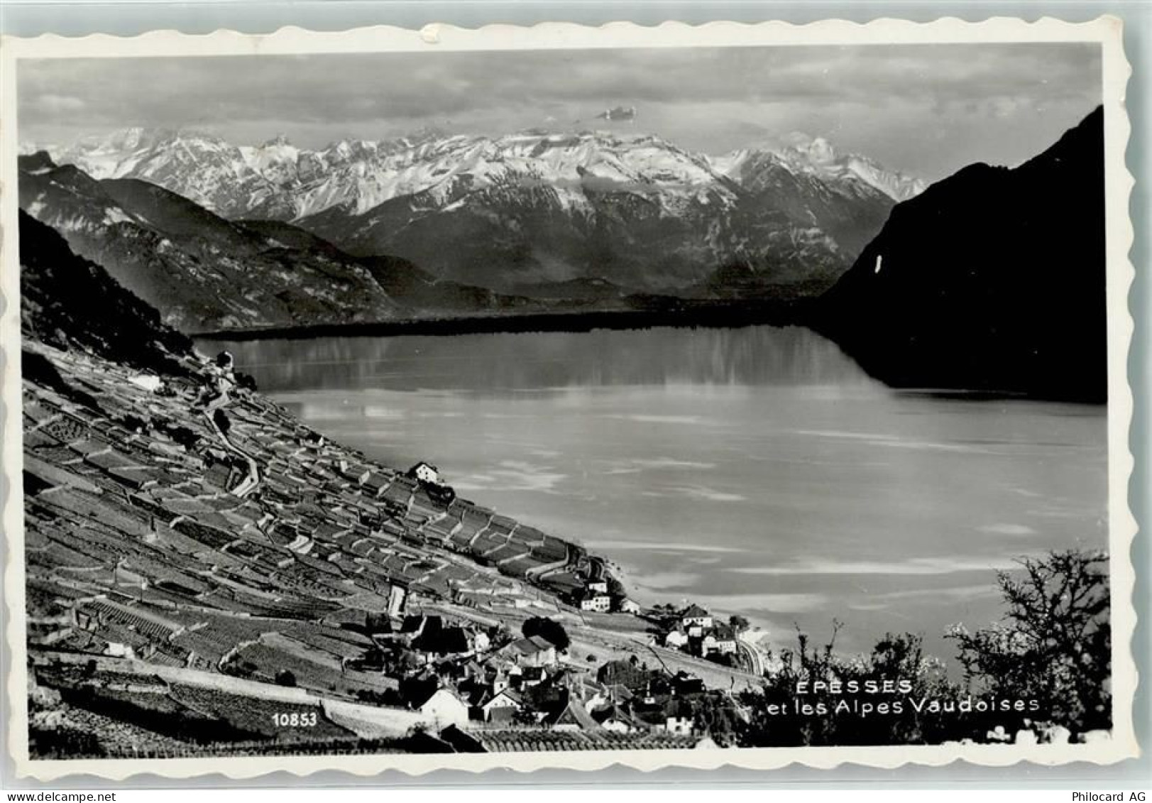 1098 Epesses - 39495080