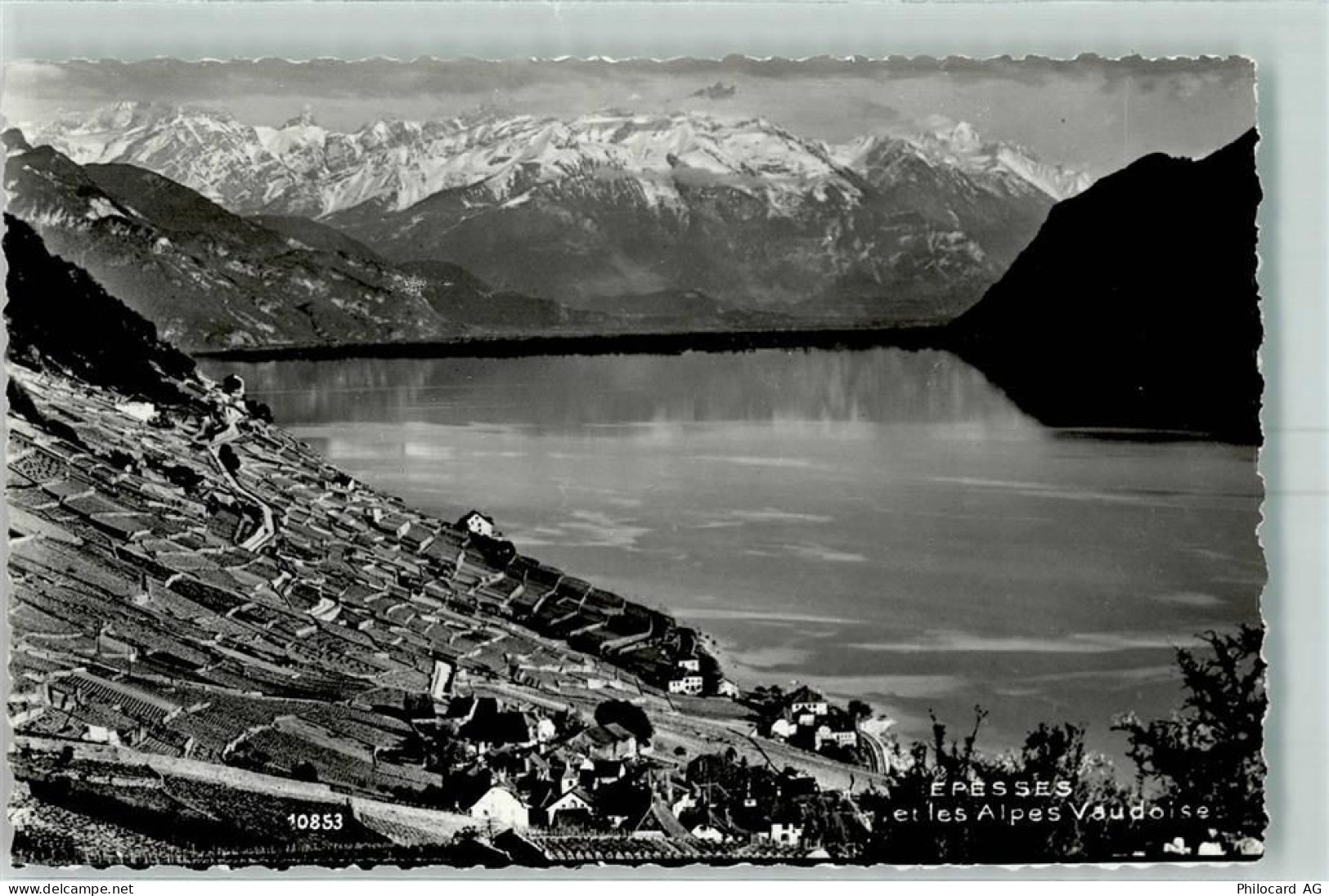1098 Epesses - Alpes Vaudoise - 10394789