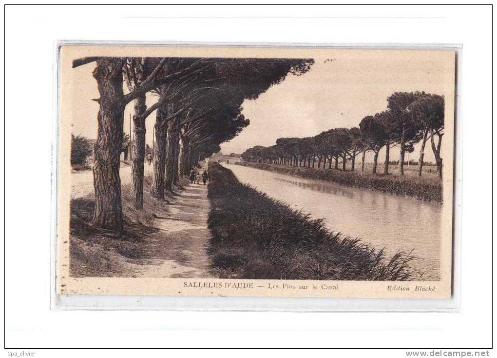 11 SALLELES AUDE Canal du Midi, Pins, Arbres, ed Blaché ERA, 193?