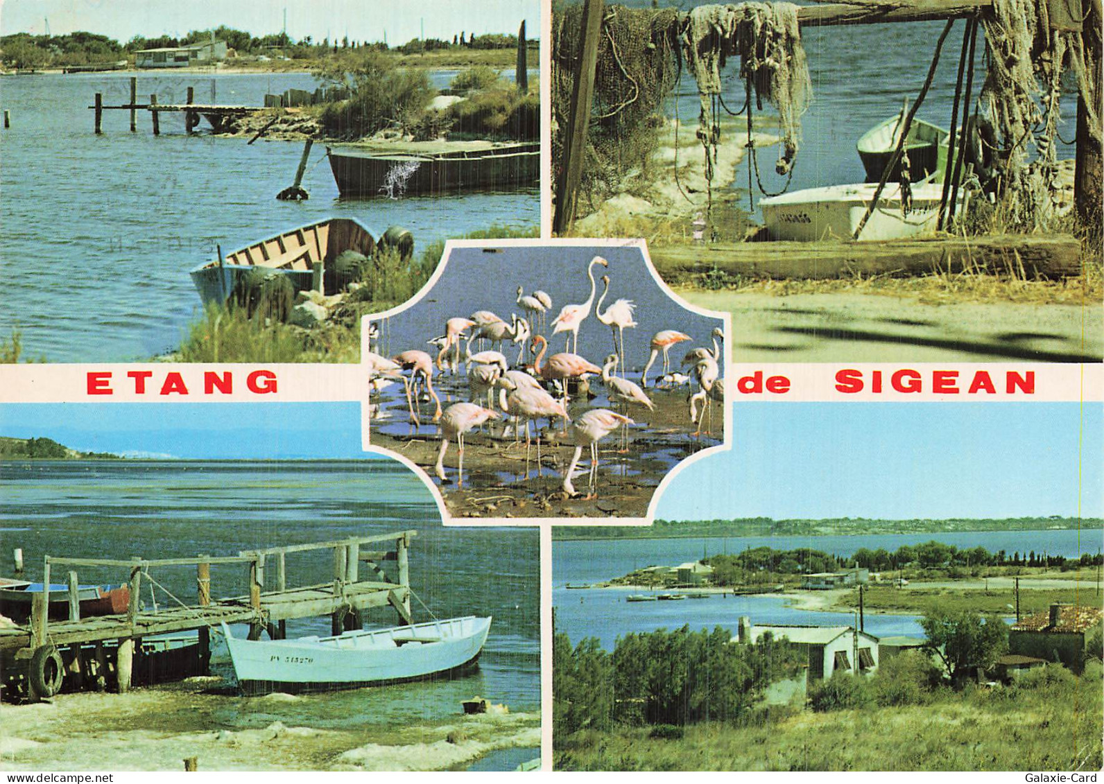 11 SIGEAN ETANG DE SIGEAN