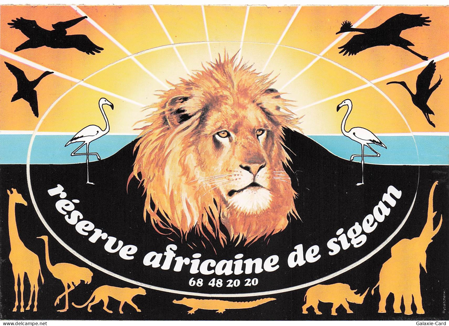 11 SIGEAN RESERVE AFRICAINE DE SIGEAN