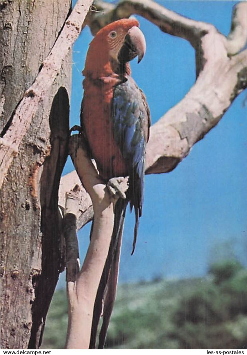 11 SIGEAN RESERVE AFRICAINE DE SIGEAN