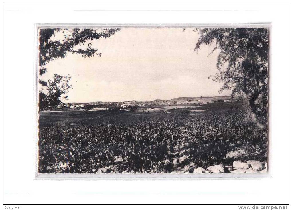 11 SIGEAN Vue Générale, ed Morina, CPSM 9x14, 195?