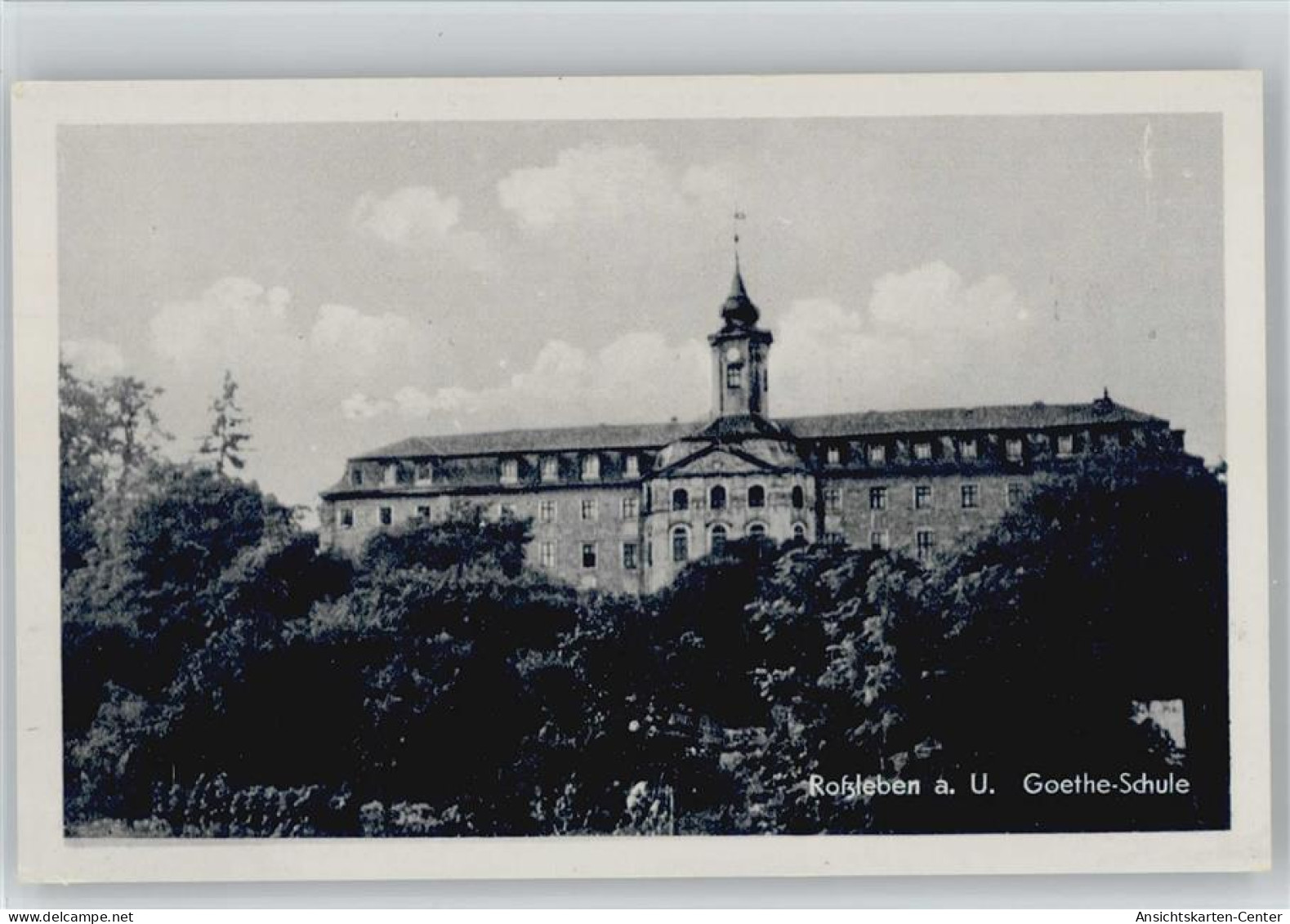 11003466 - Rossleben