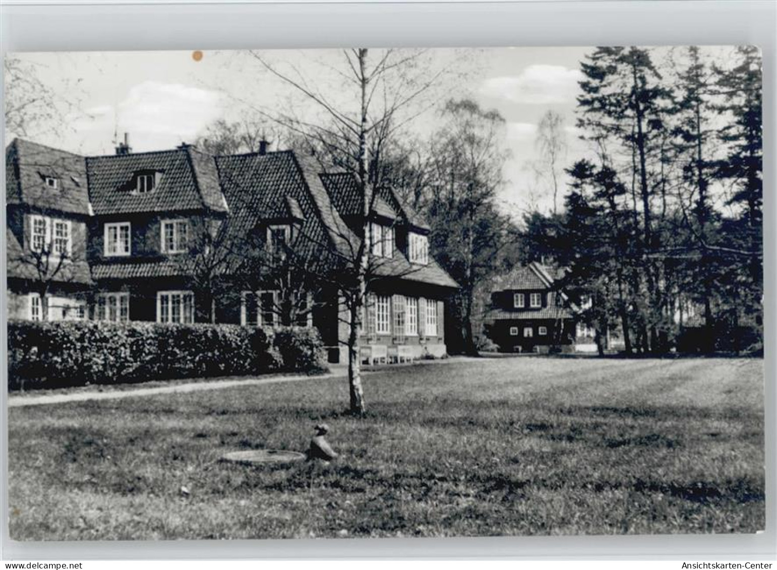 11005067 - Lauenburg , Elbe