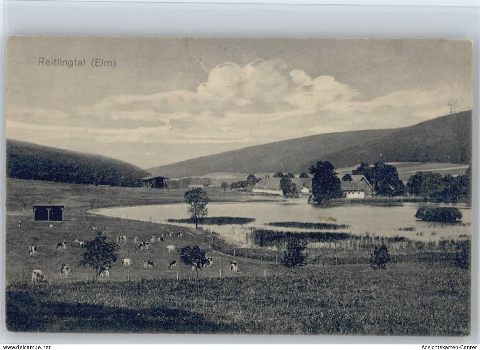 11007858 - Koenigslutter am Elm