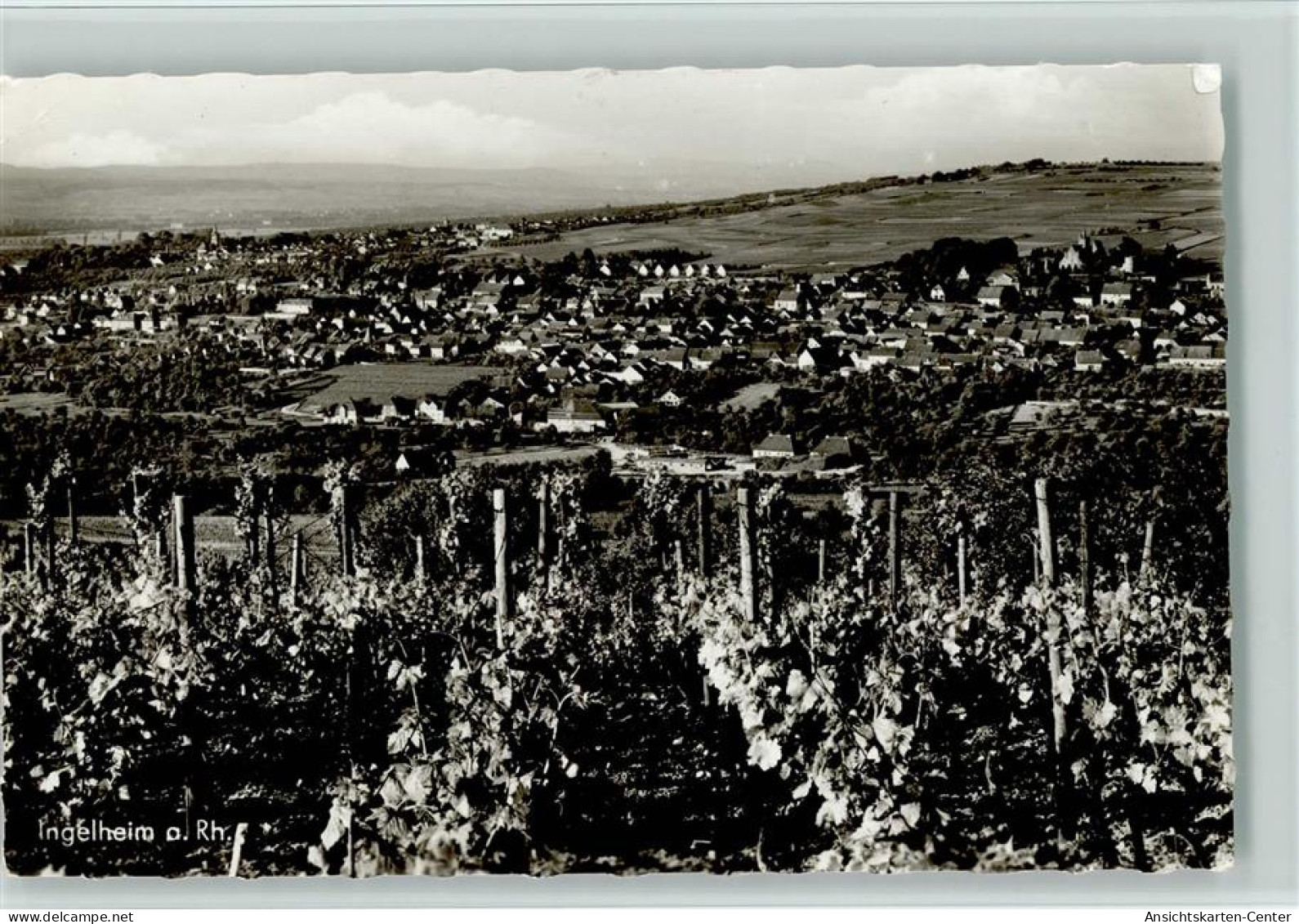 11013027 - Ingelheim am Rhein