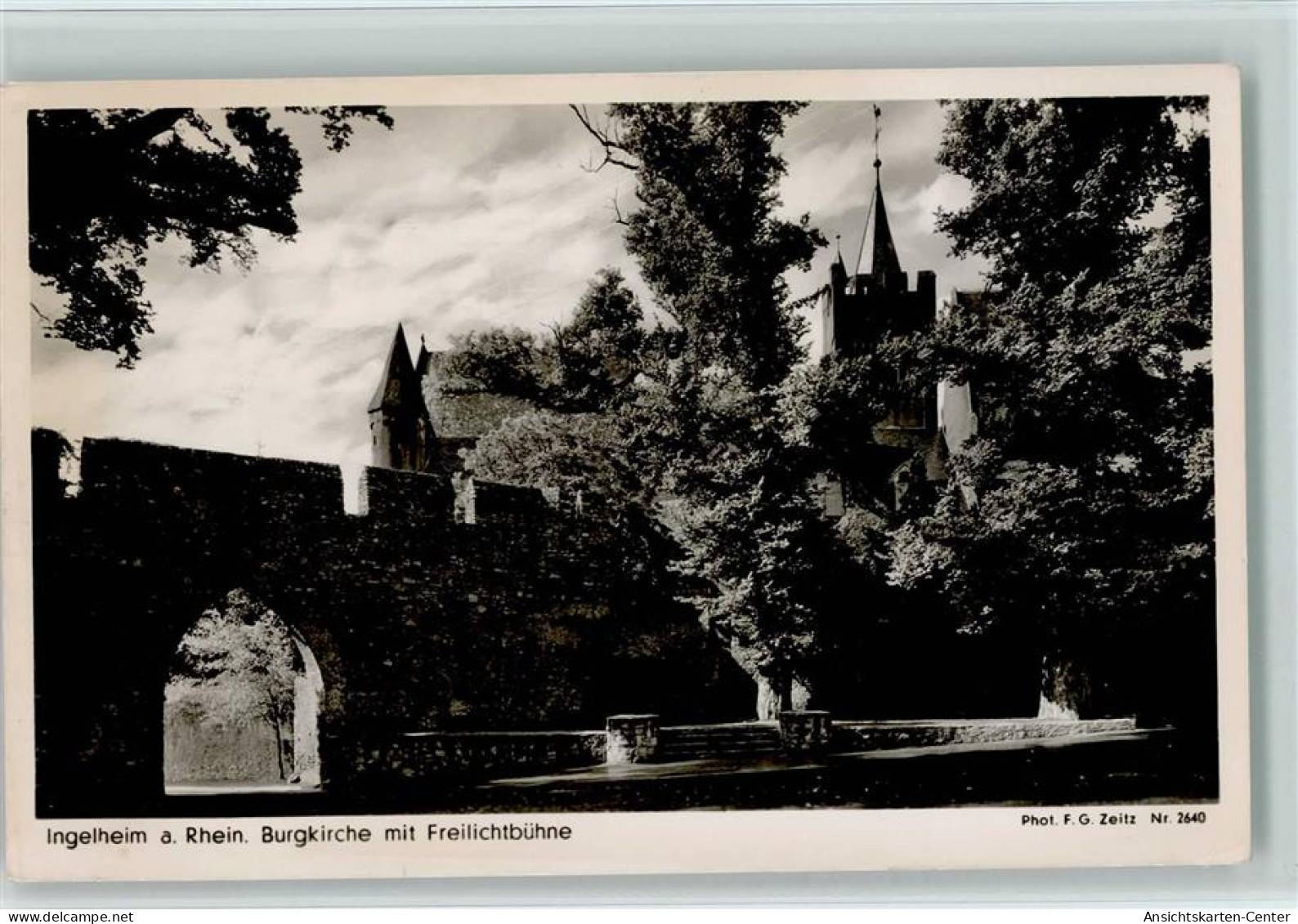 11013049 - Ingelheim am Rhein