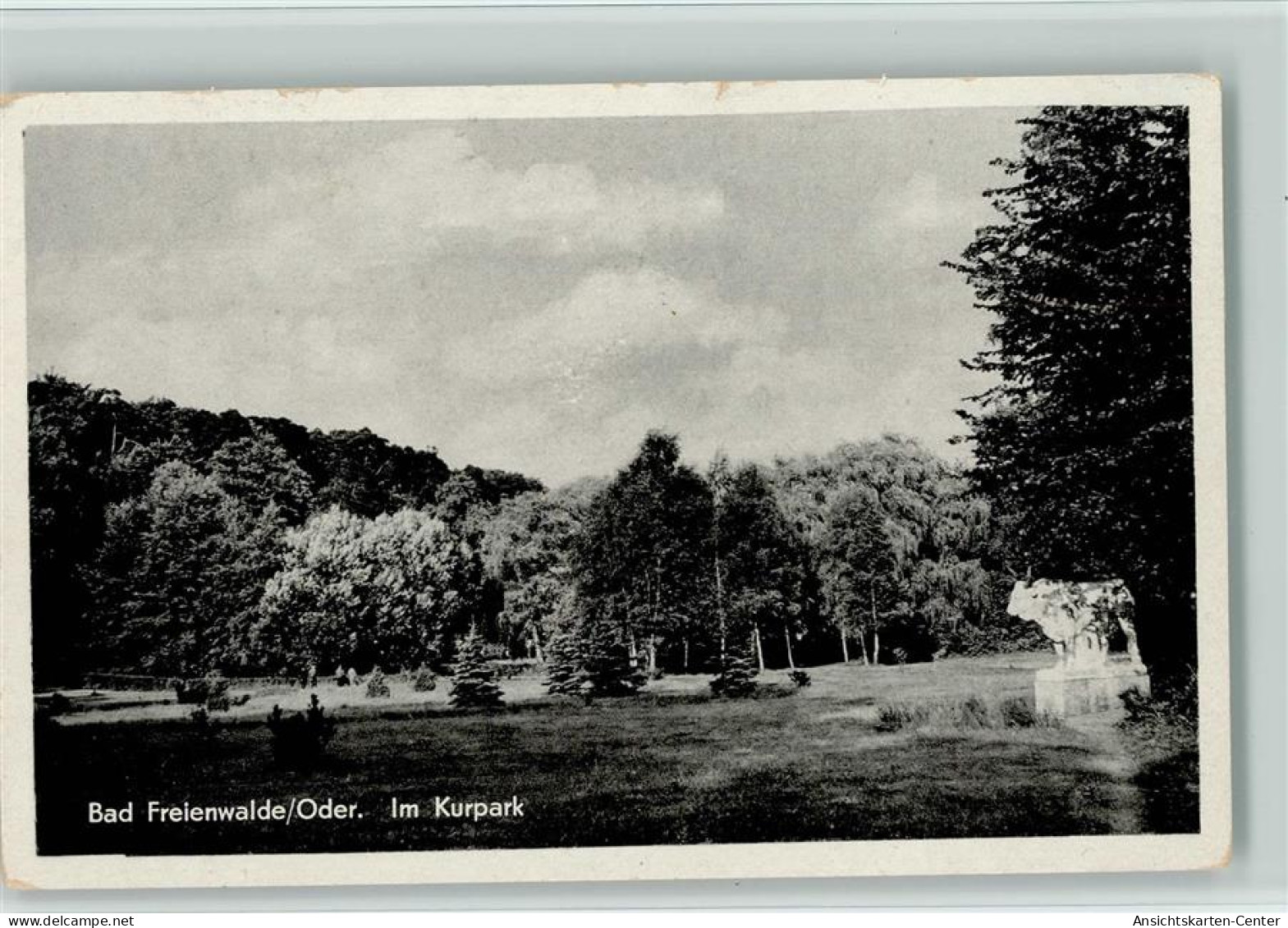 11017260 - Bad Freienwalde