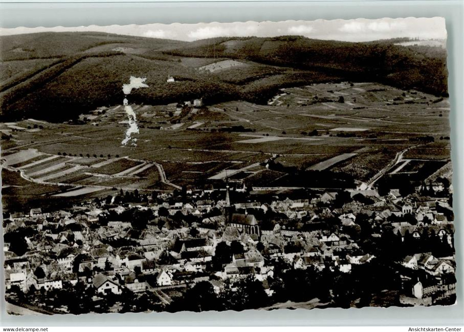 11020589 - Deidesheim