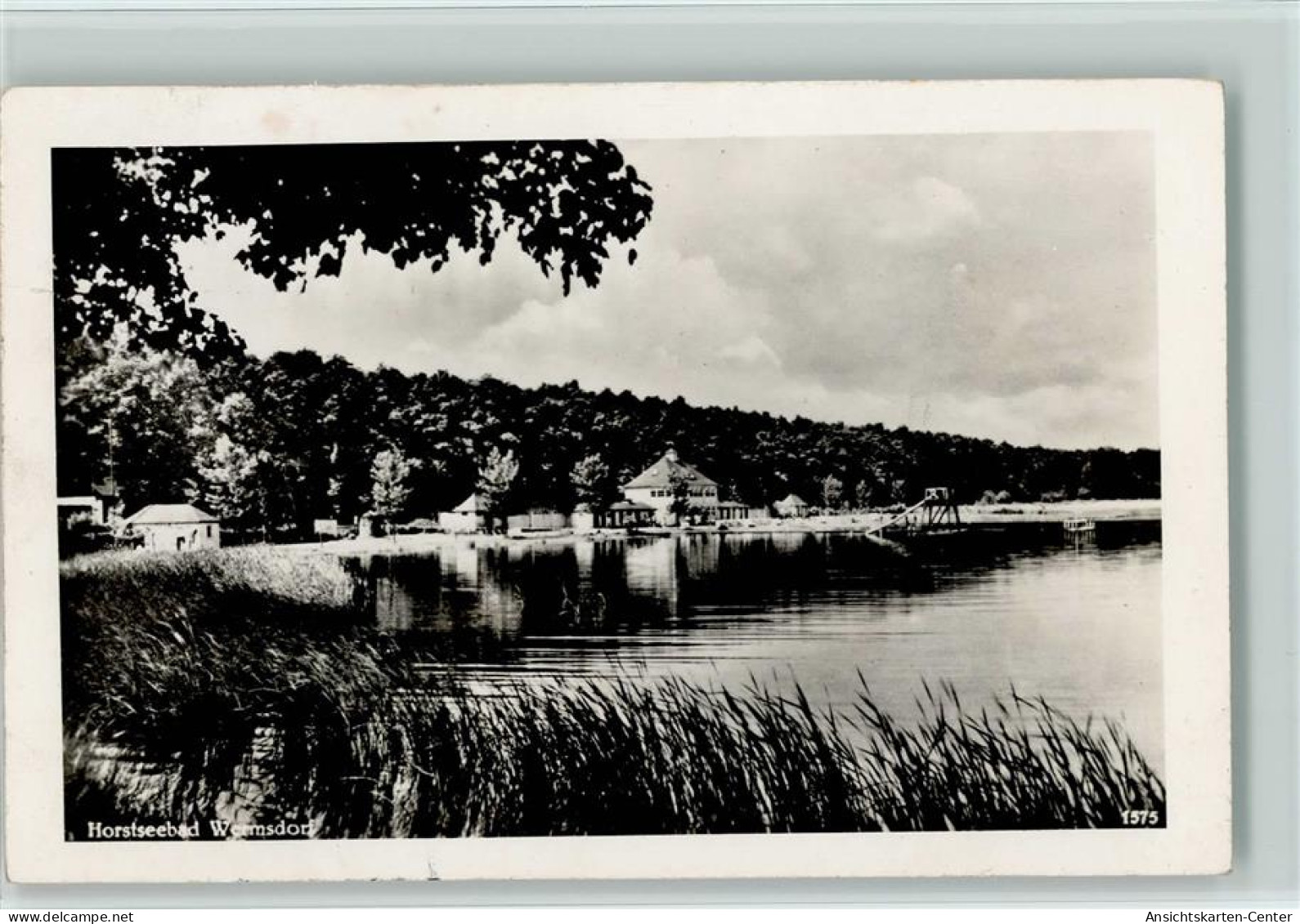 11021346 - Wermsdorf