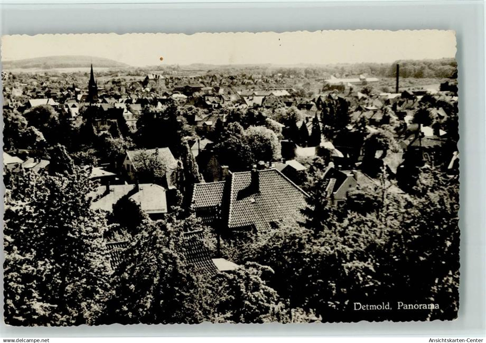 11024365 - Detmold