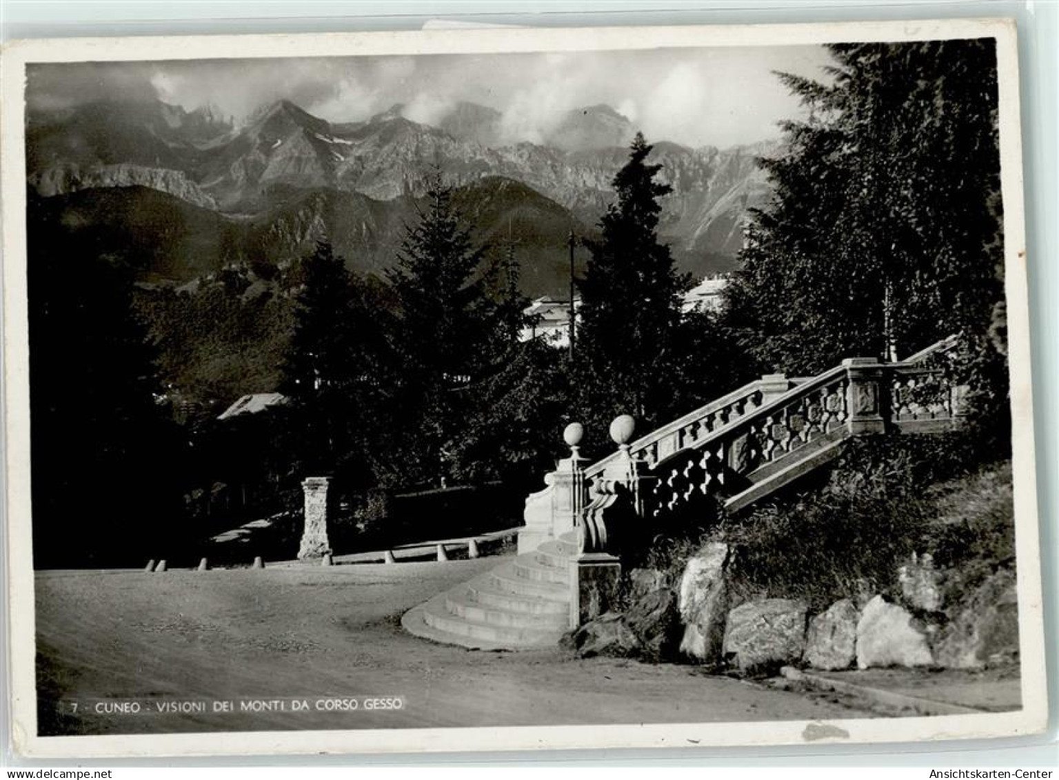 11033537 - Cuneo