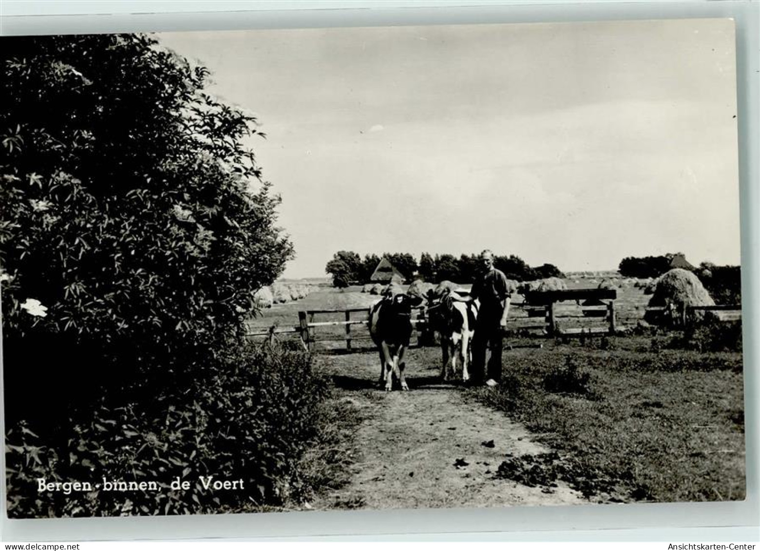 11035748 - Bergen Bergen (NH.)