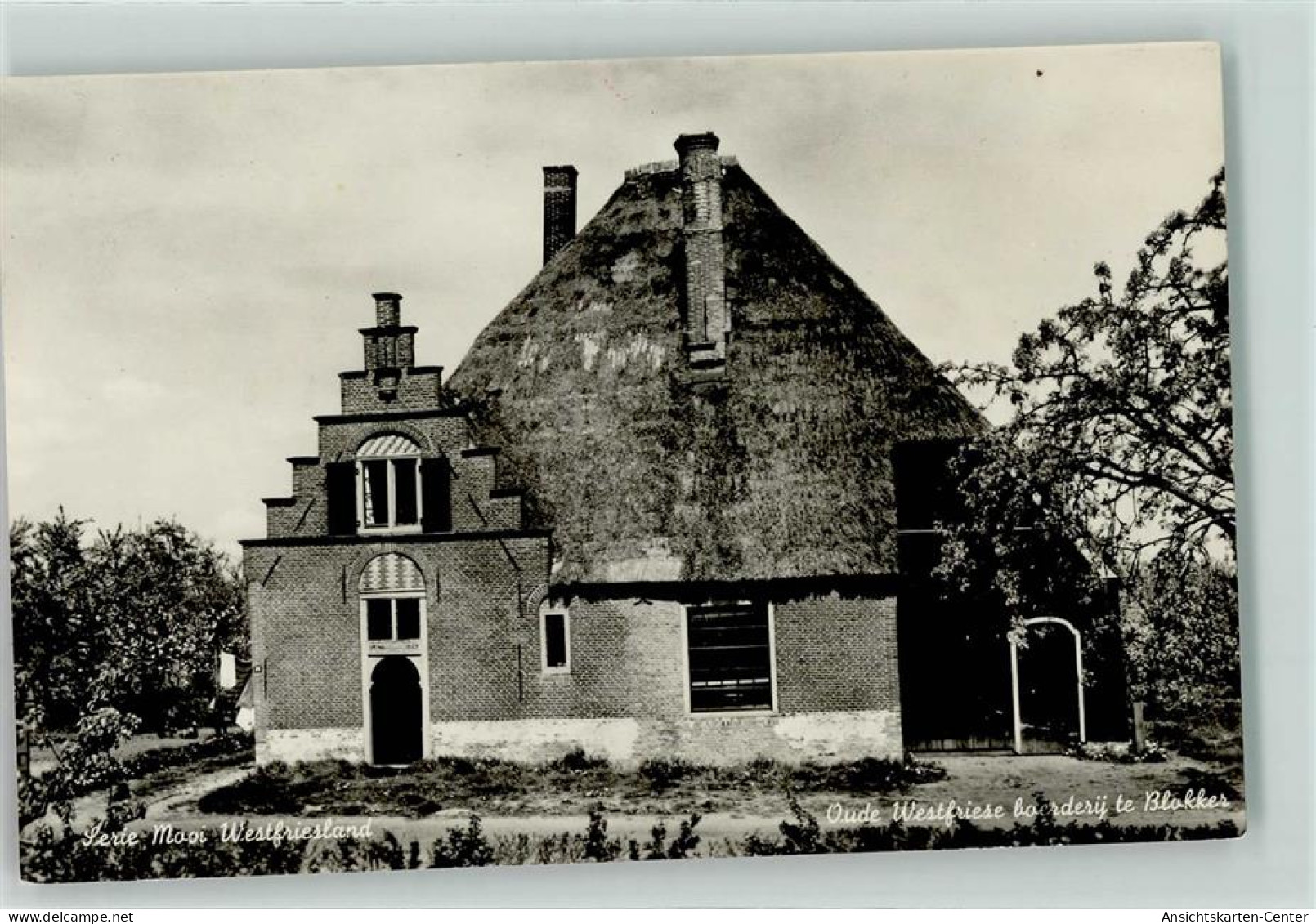 11035886 - Hoorn Hoorn Nh