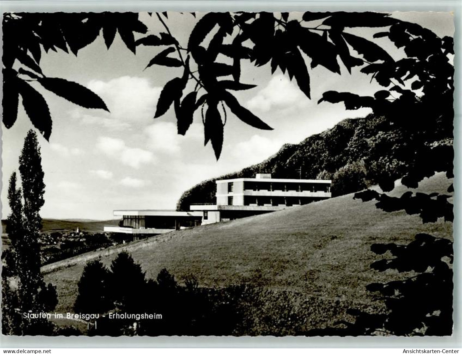 11045317 - Staufen , Breisgau