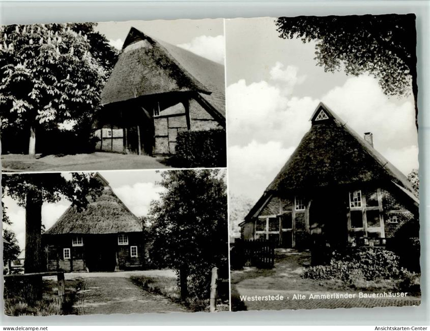 11047920 - Westerstede