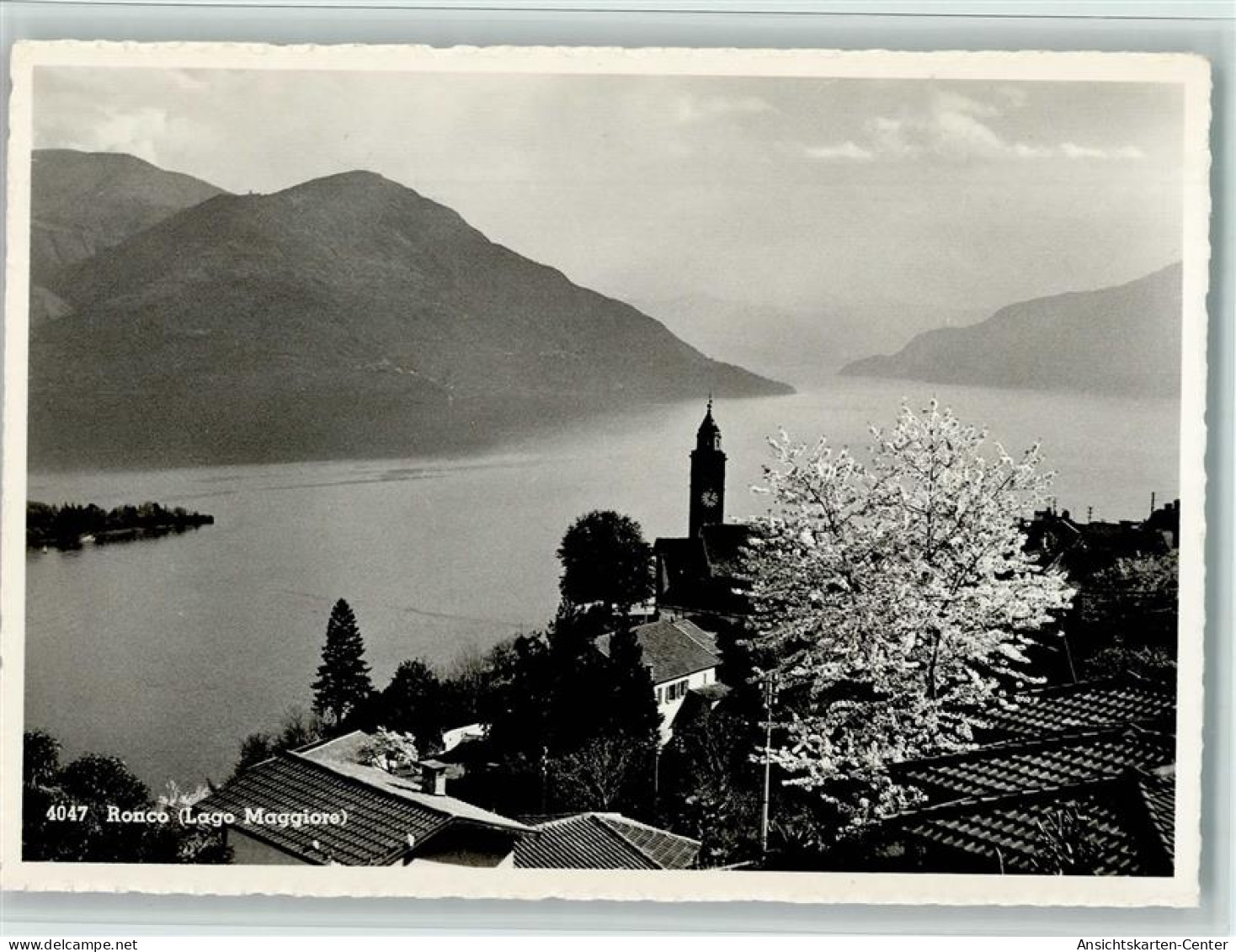 11057749 - Ronco Bedretto