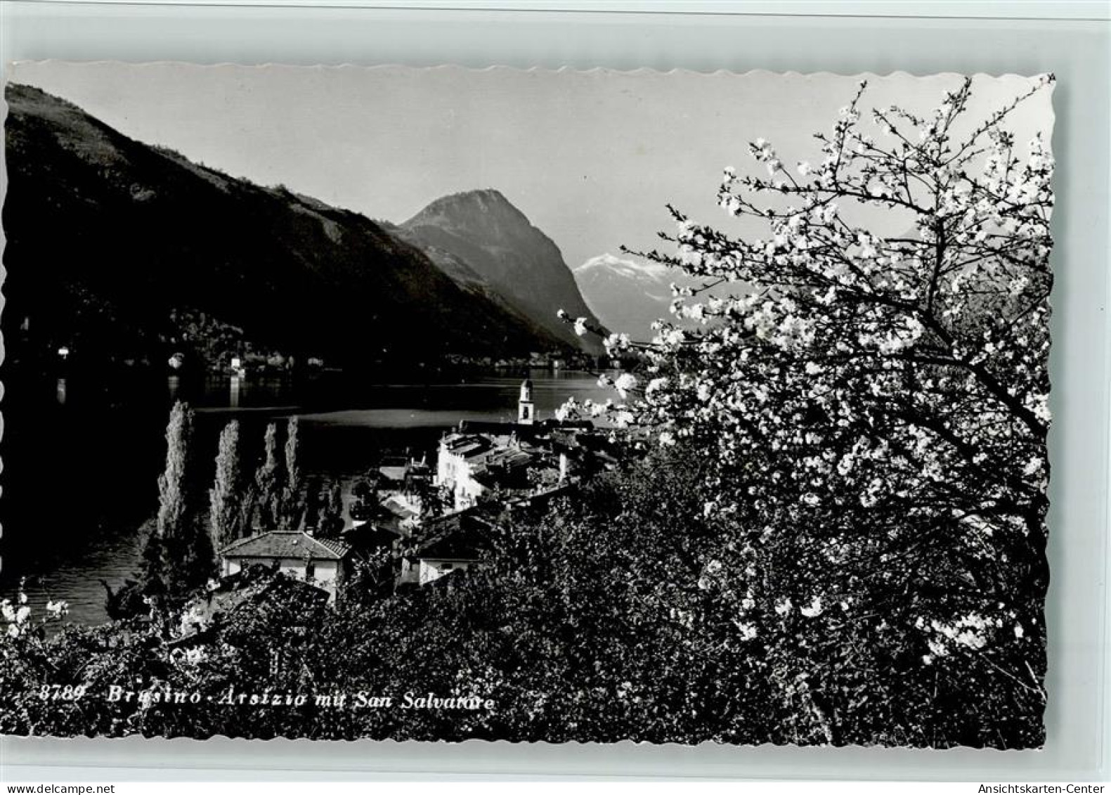 11060520 - Brusino Arsizio