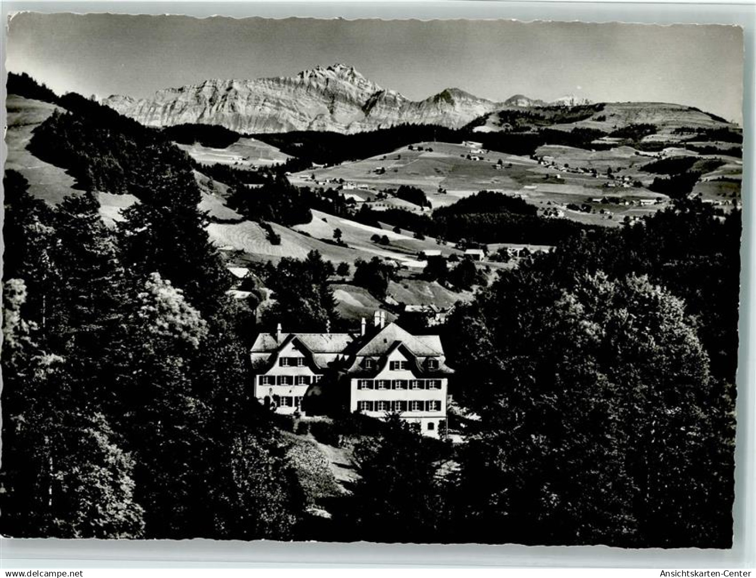 11064625 - Brunnadern