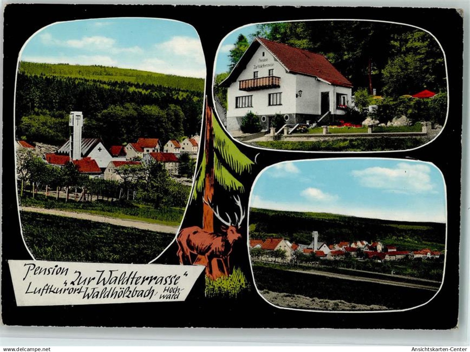 11065245 - Waldhoelzbach