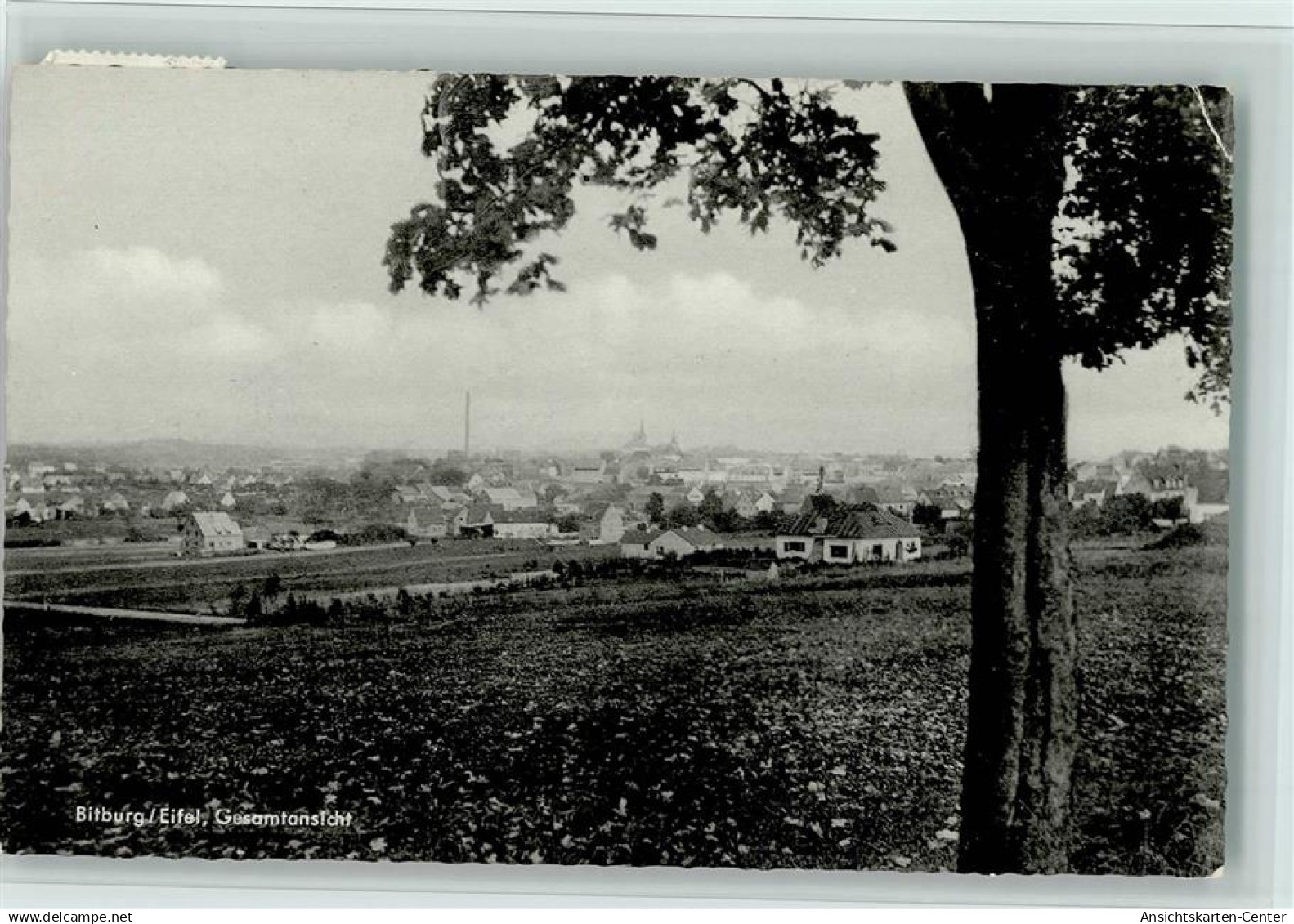 11066284 - Bitburg