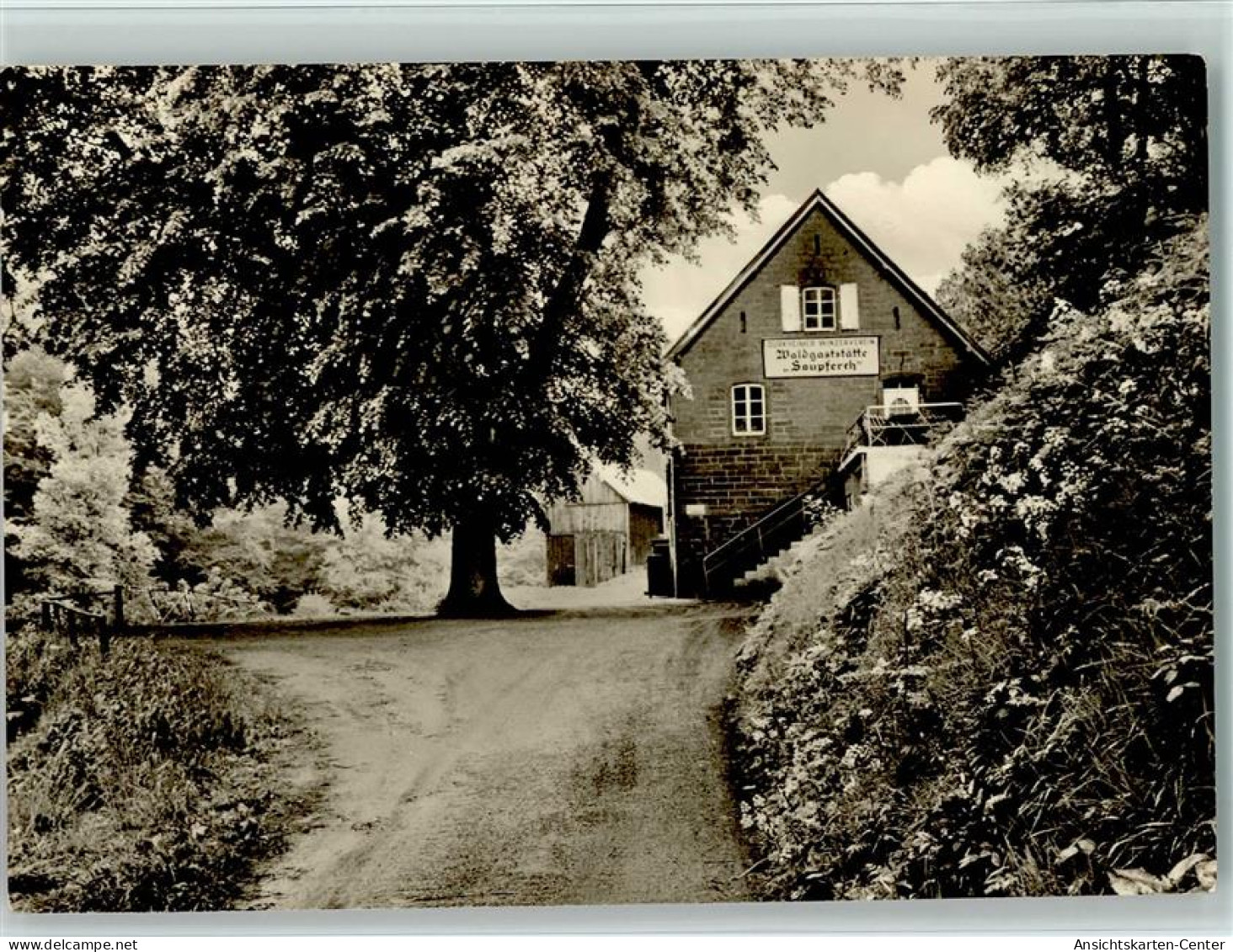 11068357 - Bad Duerkheim