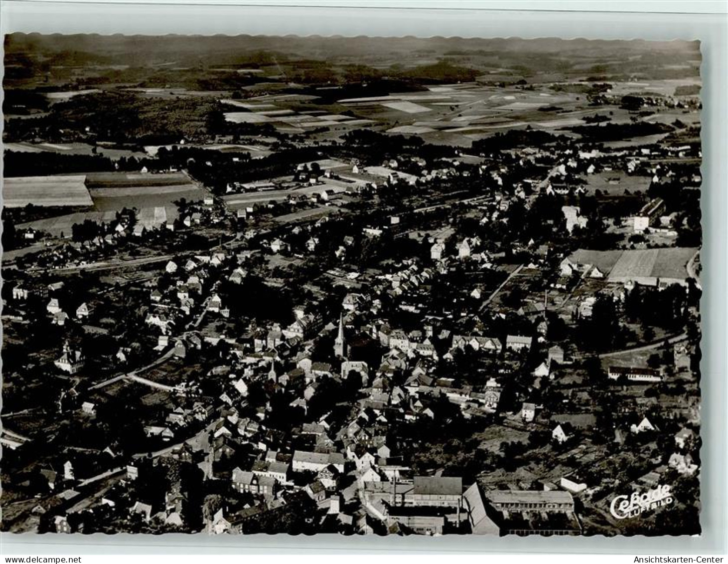 11069654 - Waldbroel