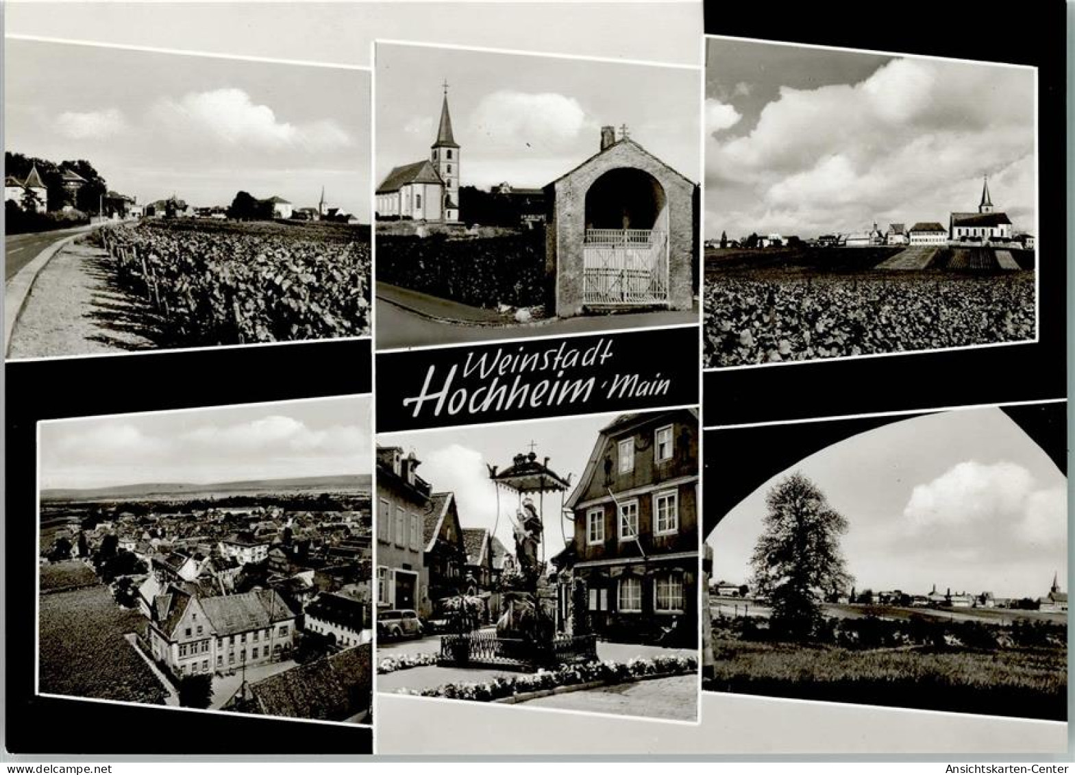 11073530 - Hochheim am Main