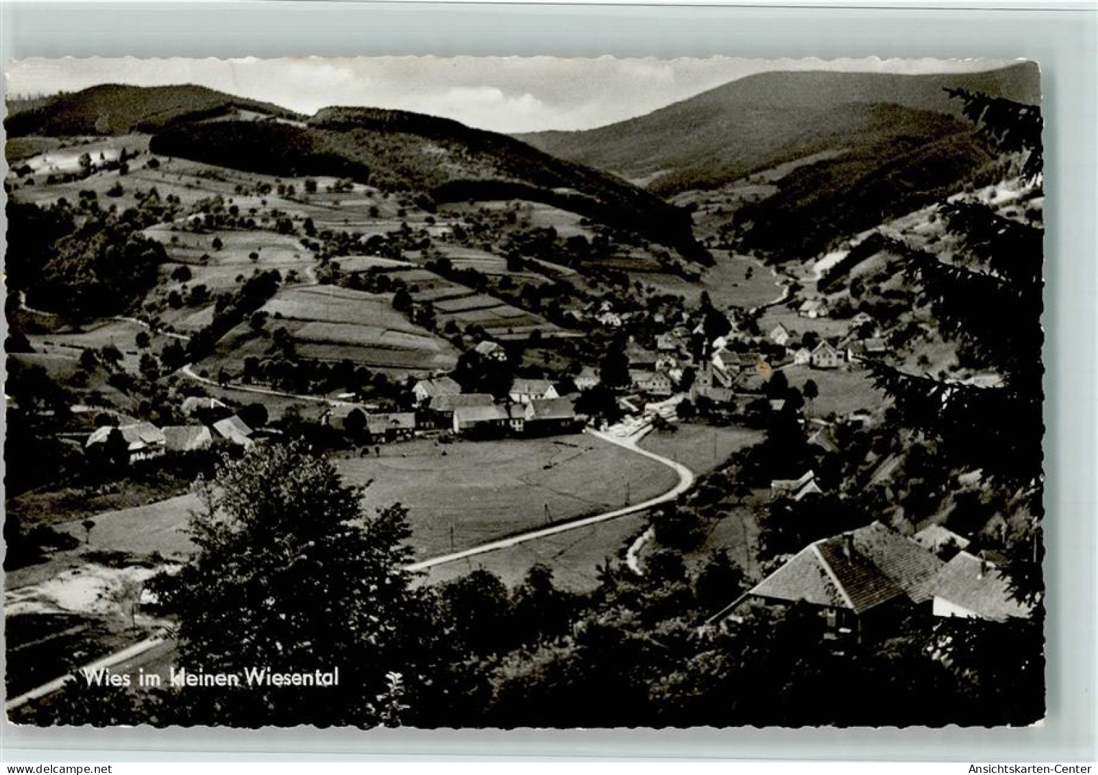 11075769 - Wies , Schwarzw