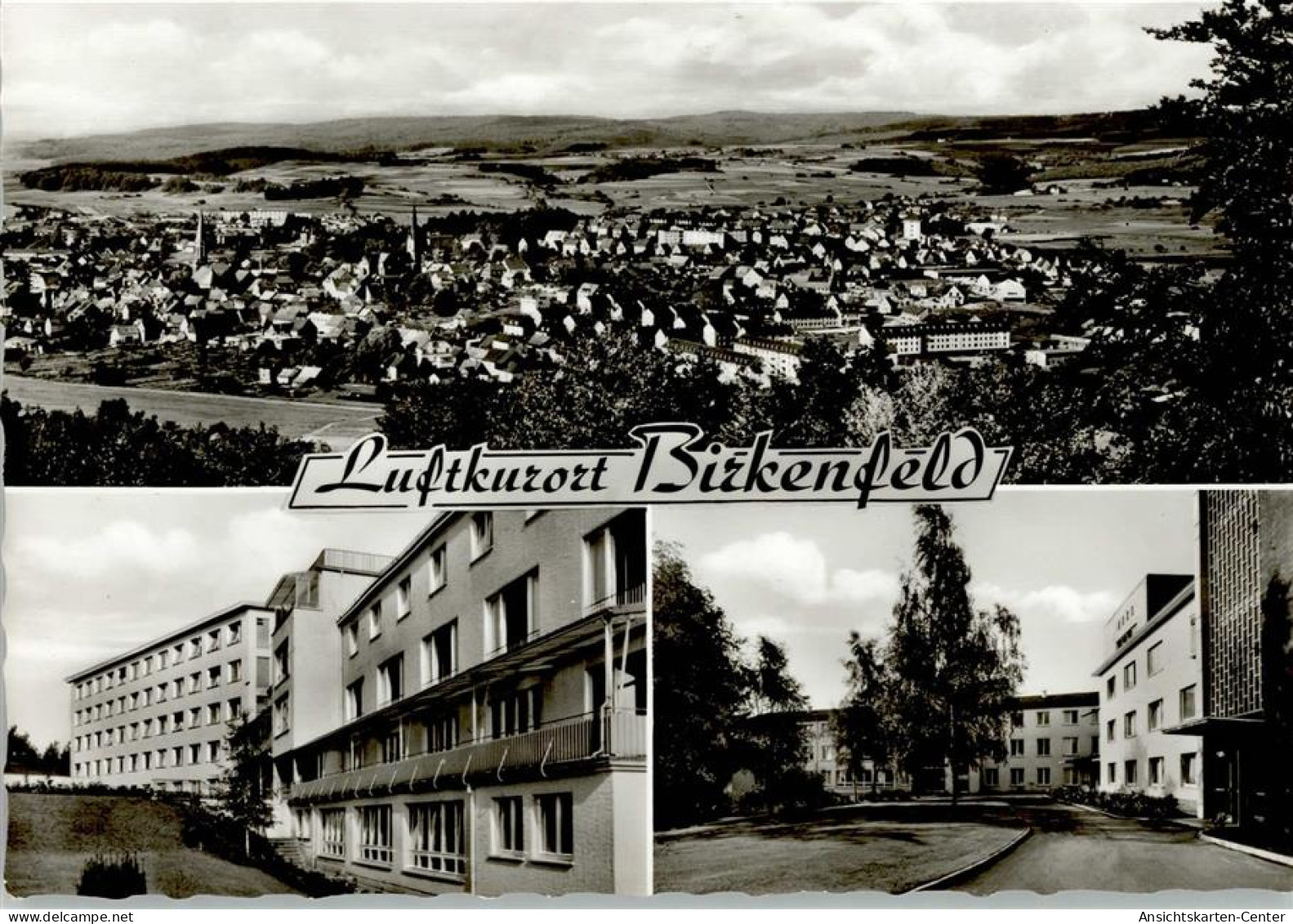 11078616 - Birkenfeld , Nahe