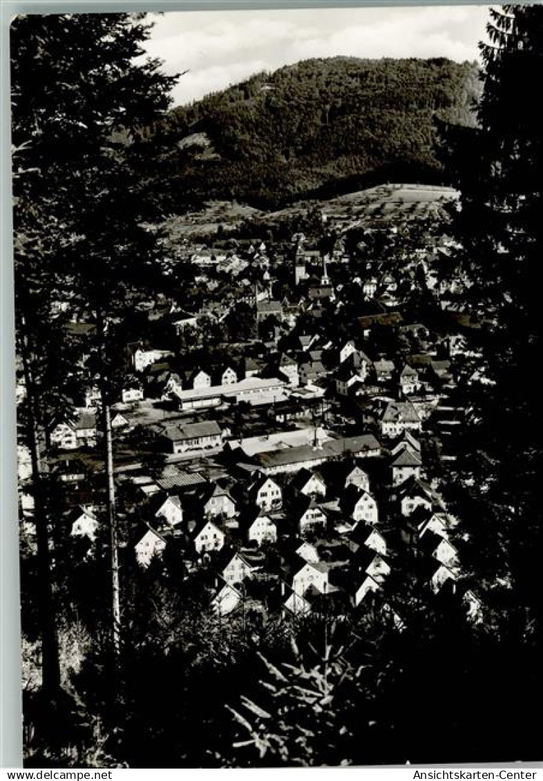 11081084 - Haslach im Kinzigtal