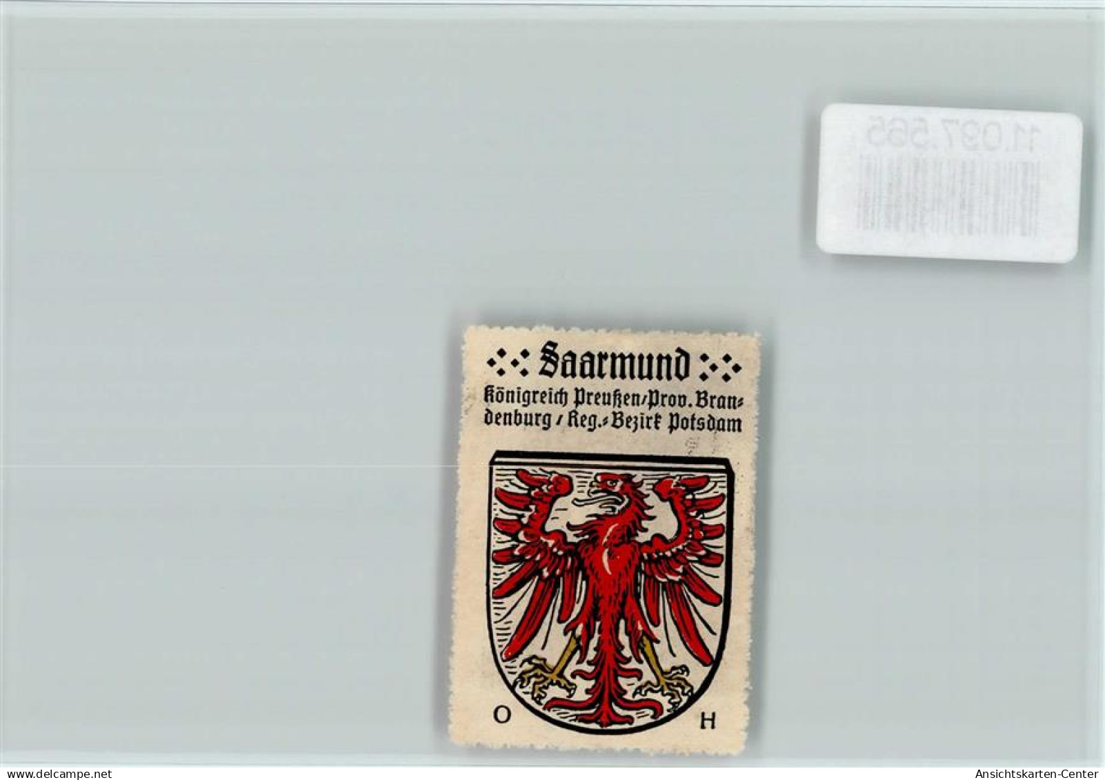 11097565 - Saarmund